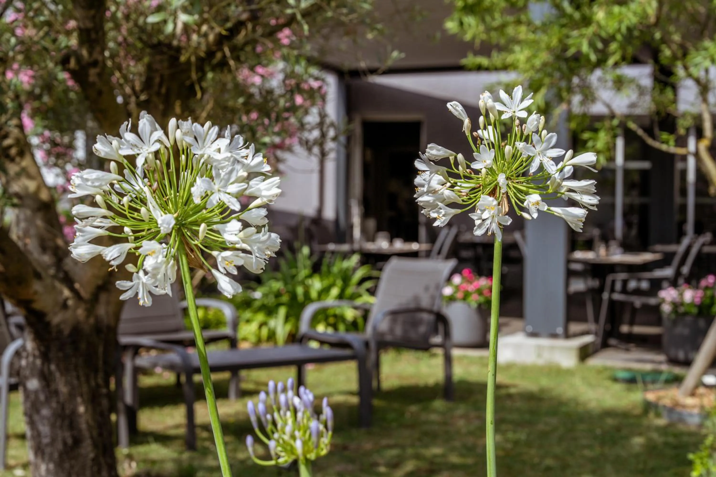Logis Hôtel l'Amandier