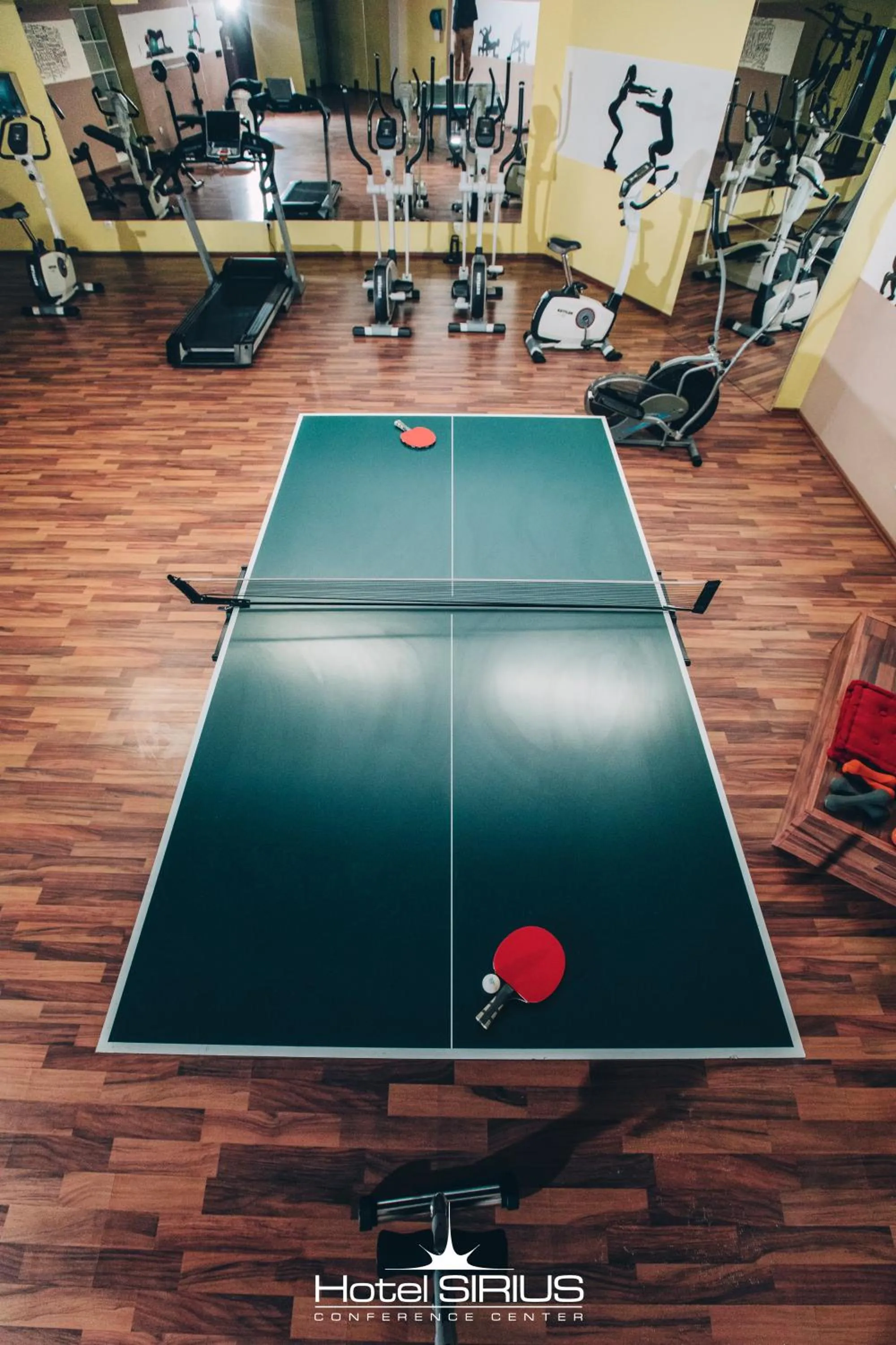 Game Room in Hotel Sirius