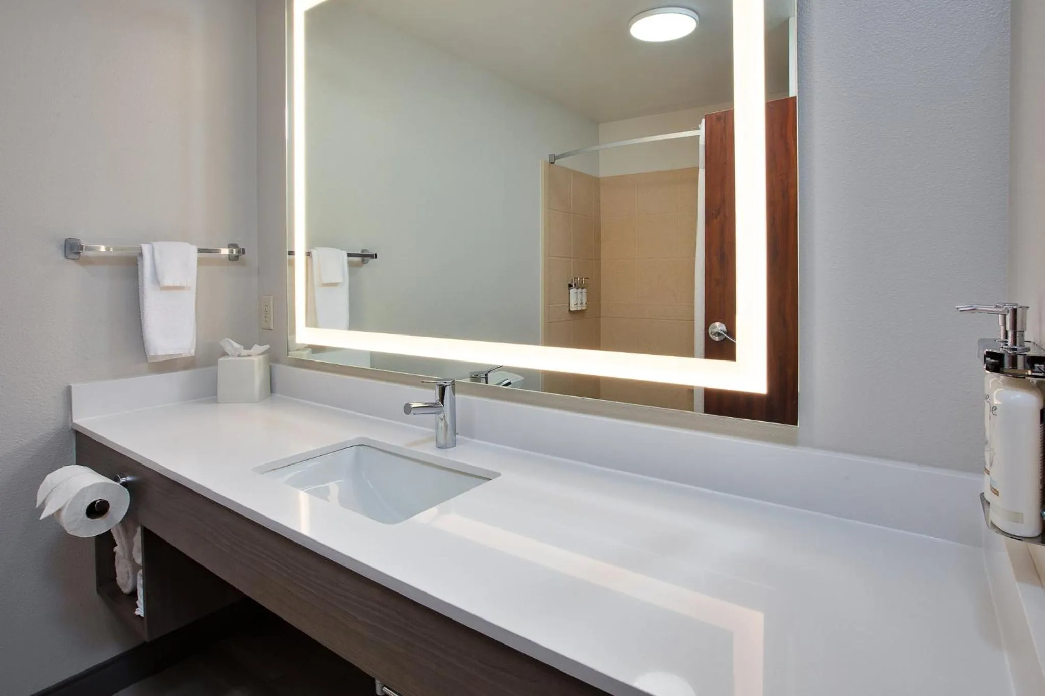 Bathroom in Holiday Inn Express & Suites Sioux Falls Southwest by IHG