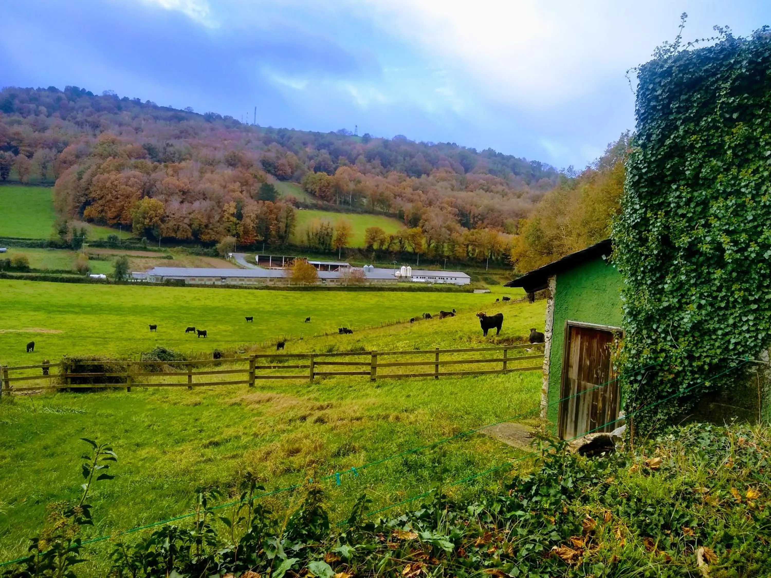 Spring in Casa Pacios by M de Santiago