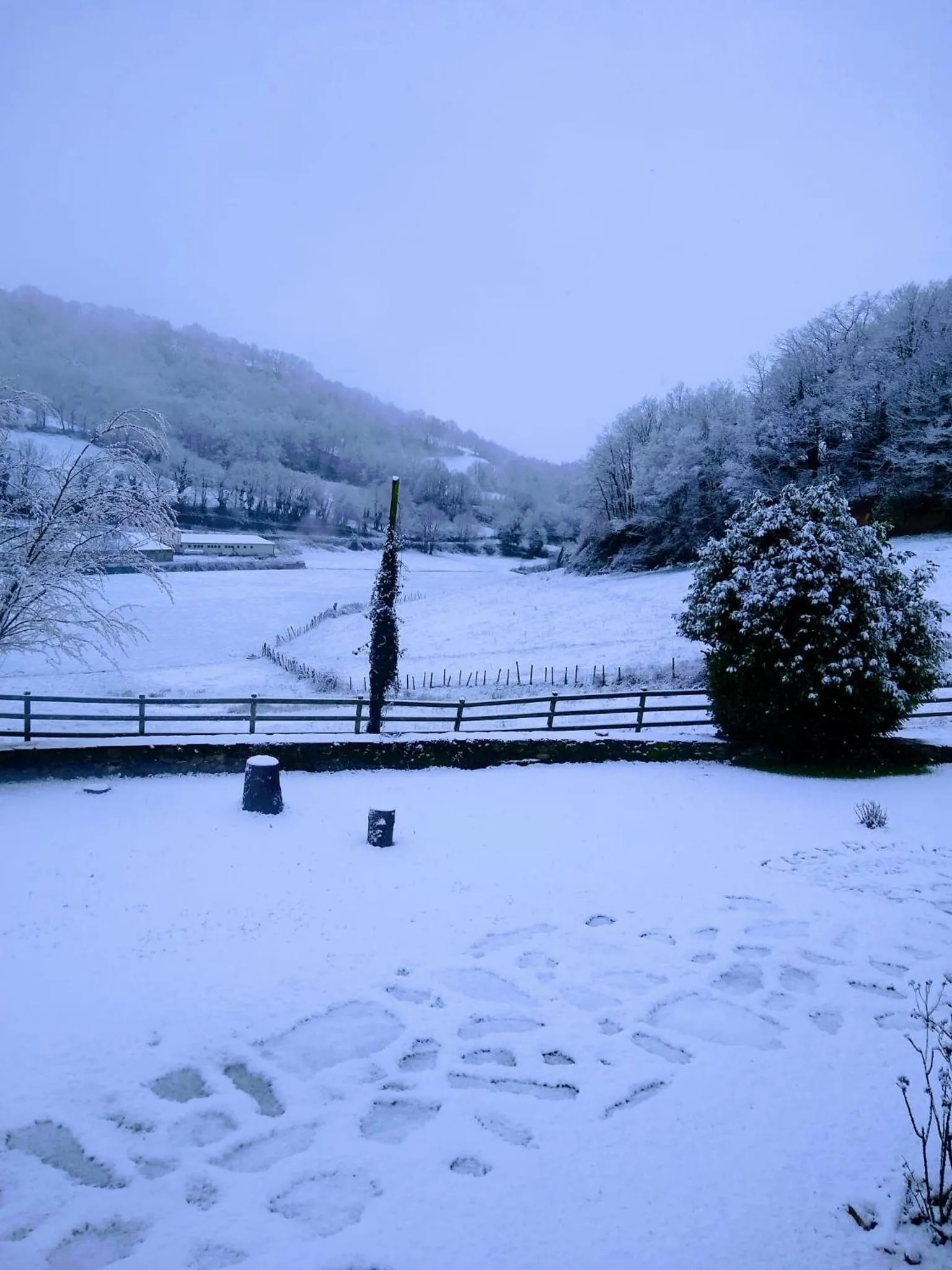 Natural landscape in Casa Pacios by M de Santiago