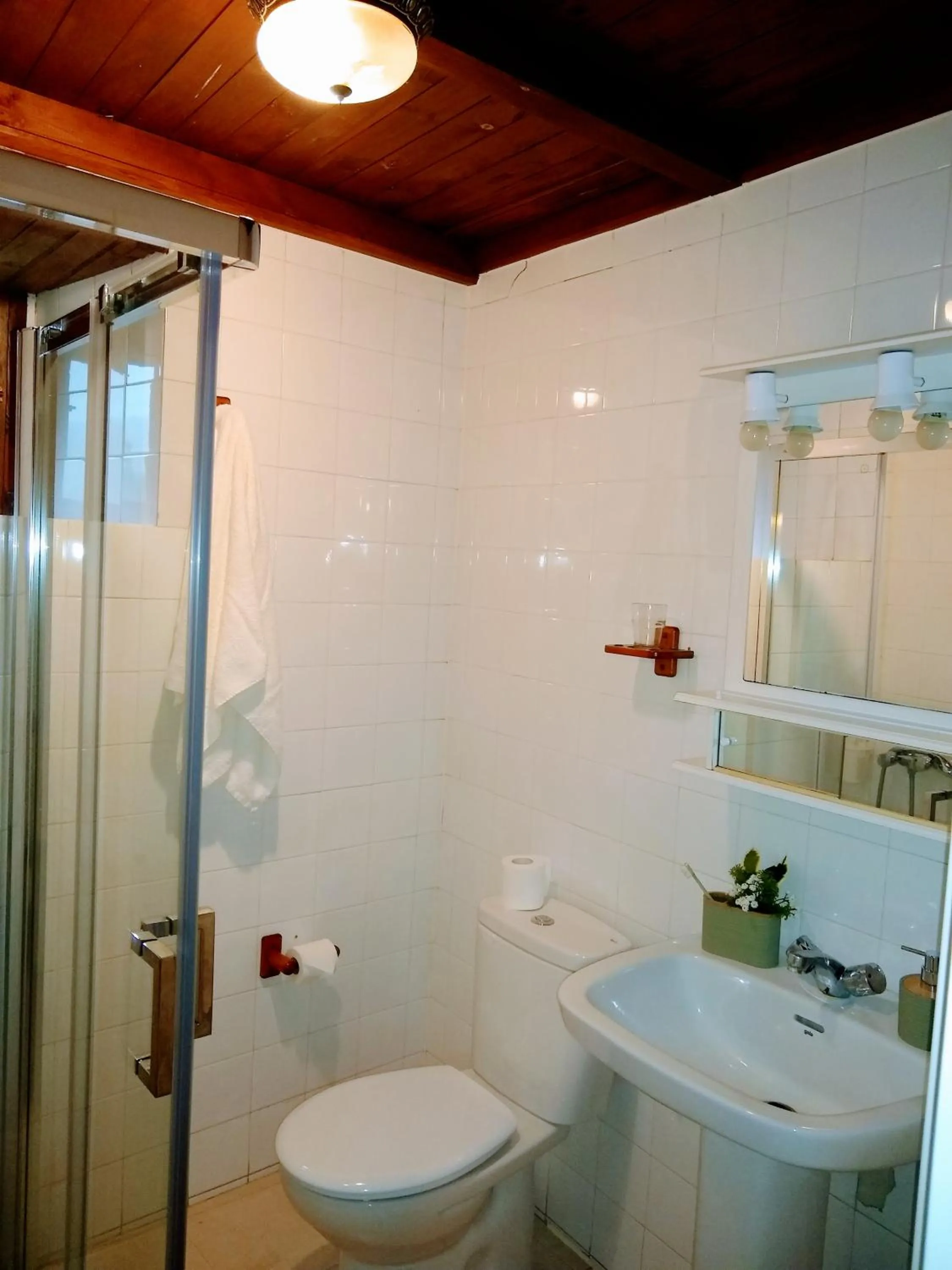 Toilet in Casa Pacios by M de Santiago