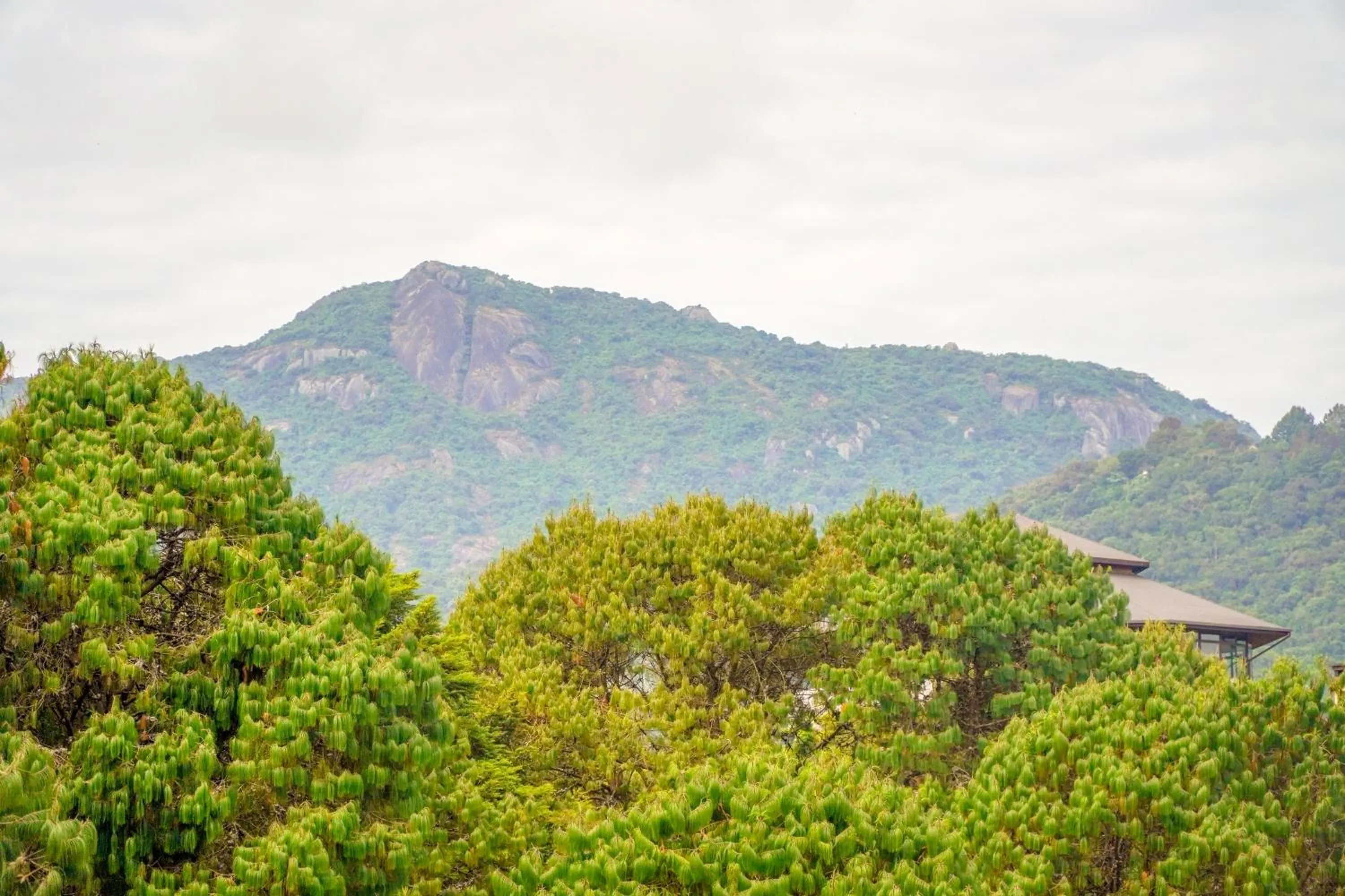Natural landscape in VELINN Hotel Ninho do Falcão