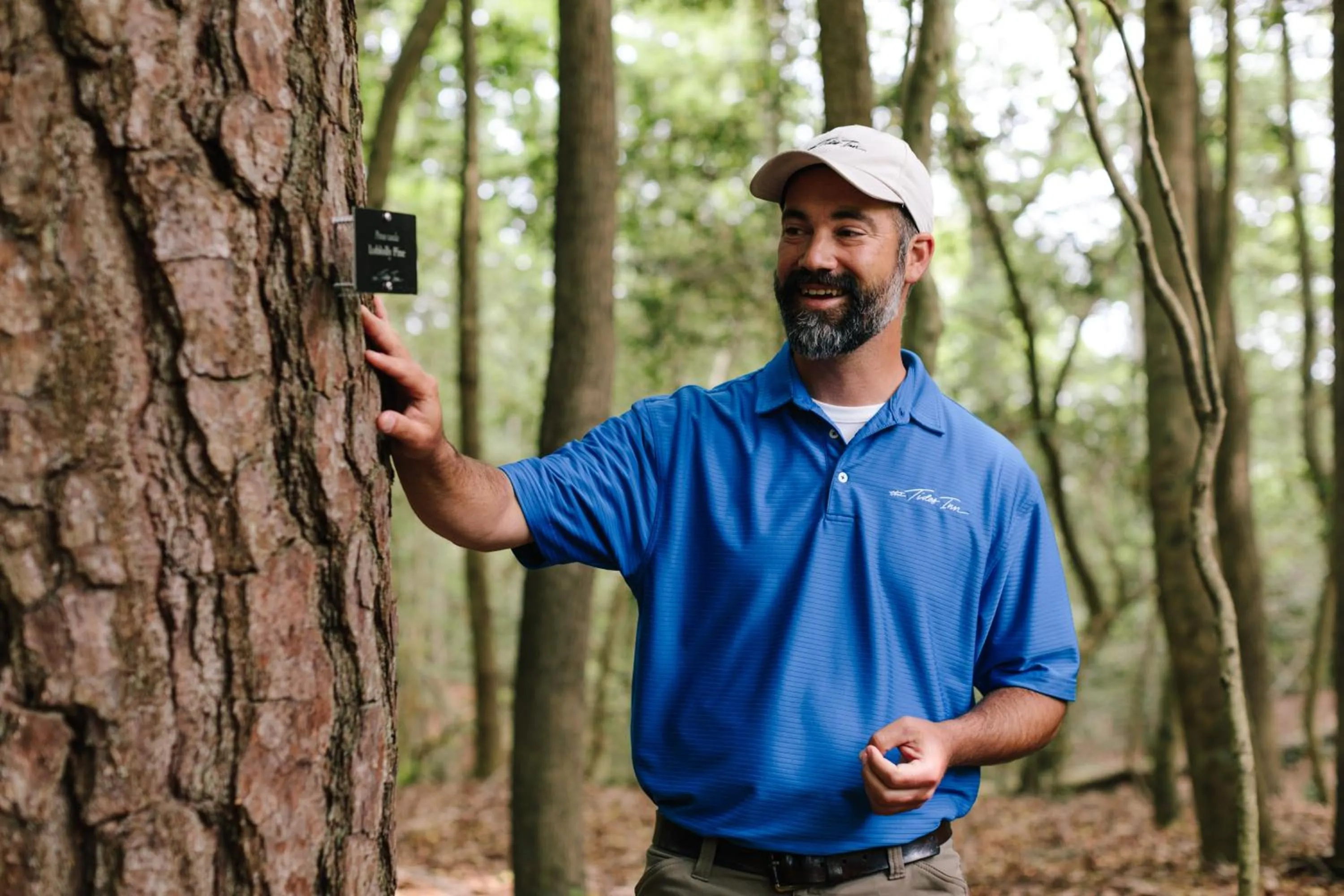 Natural landscape in The Tides Inn