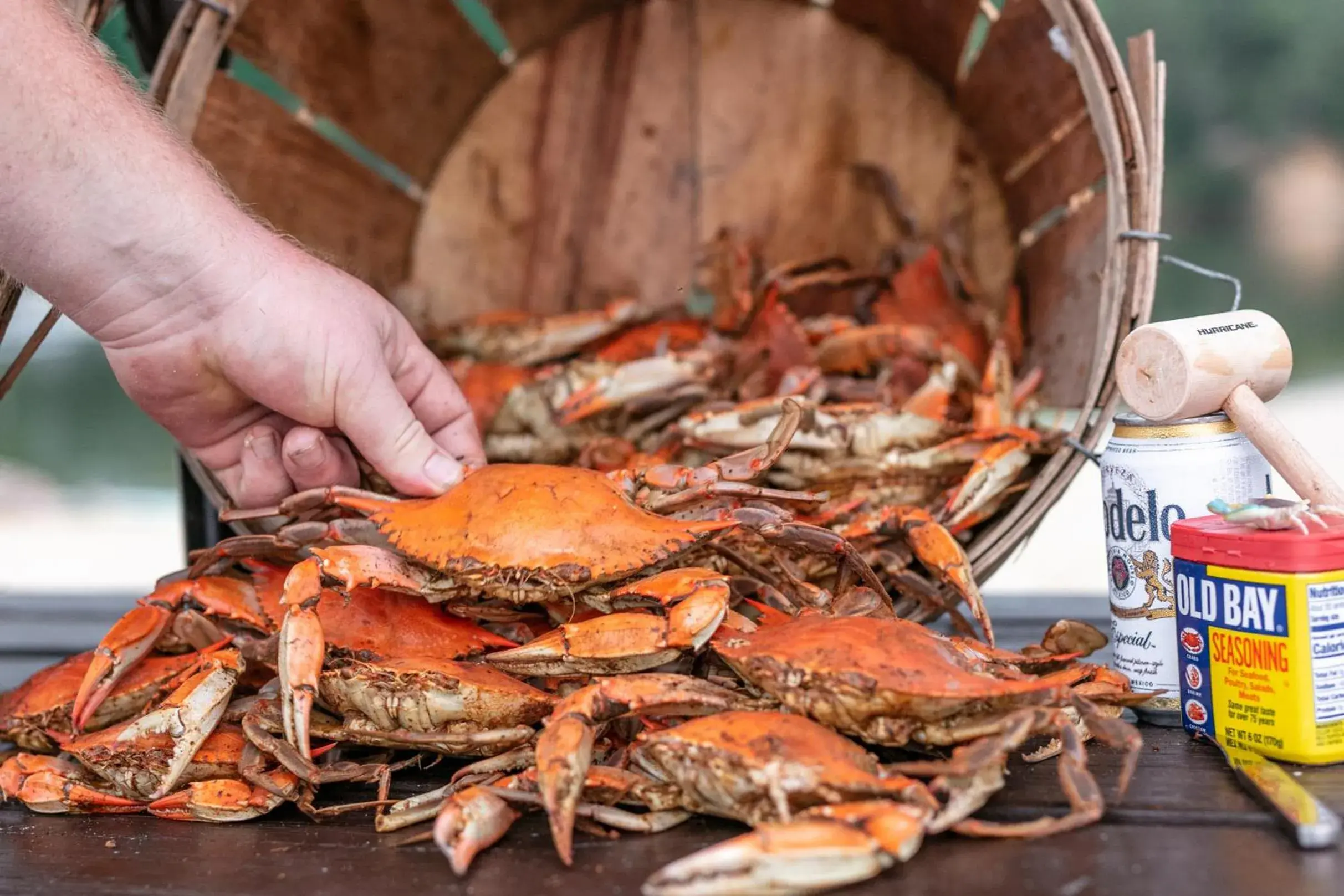 Food close-up in The Tides Inn Food close-up in The Tides Inn