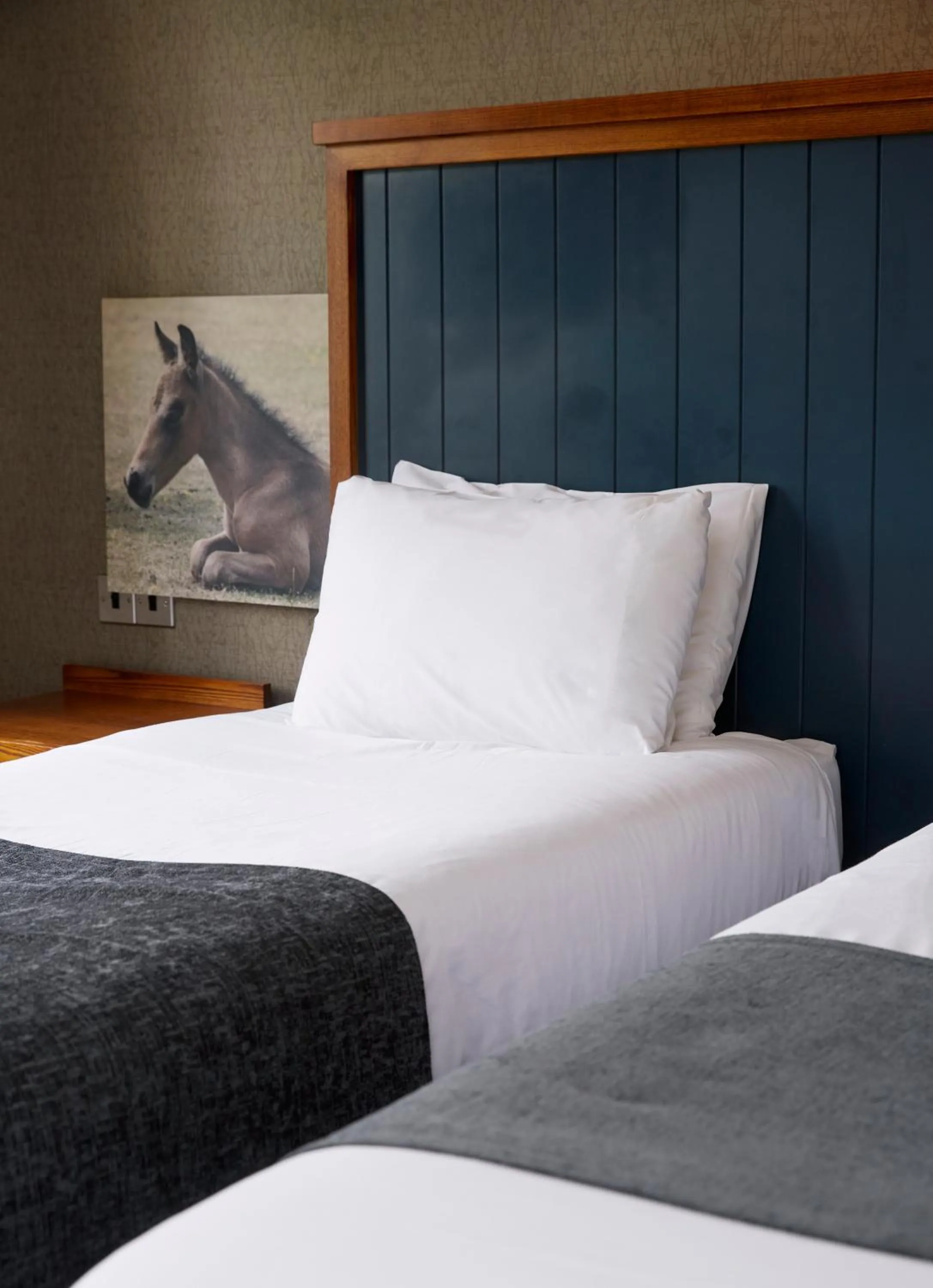 Bed in White Rabbit by Chef & Brewer Collection