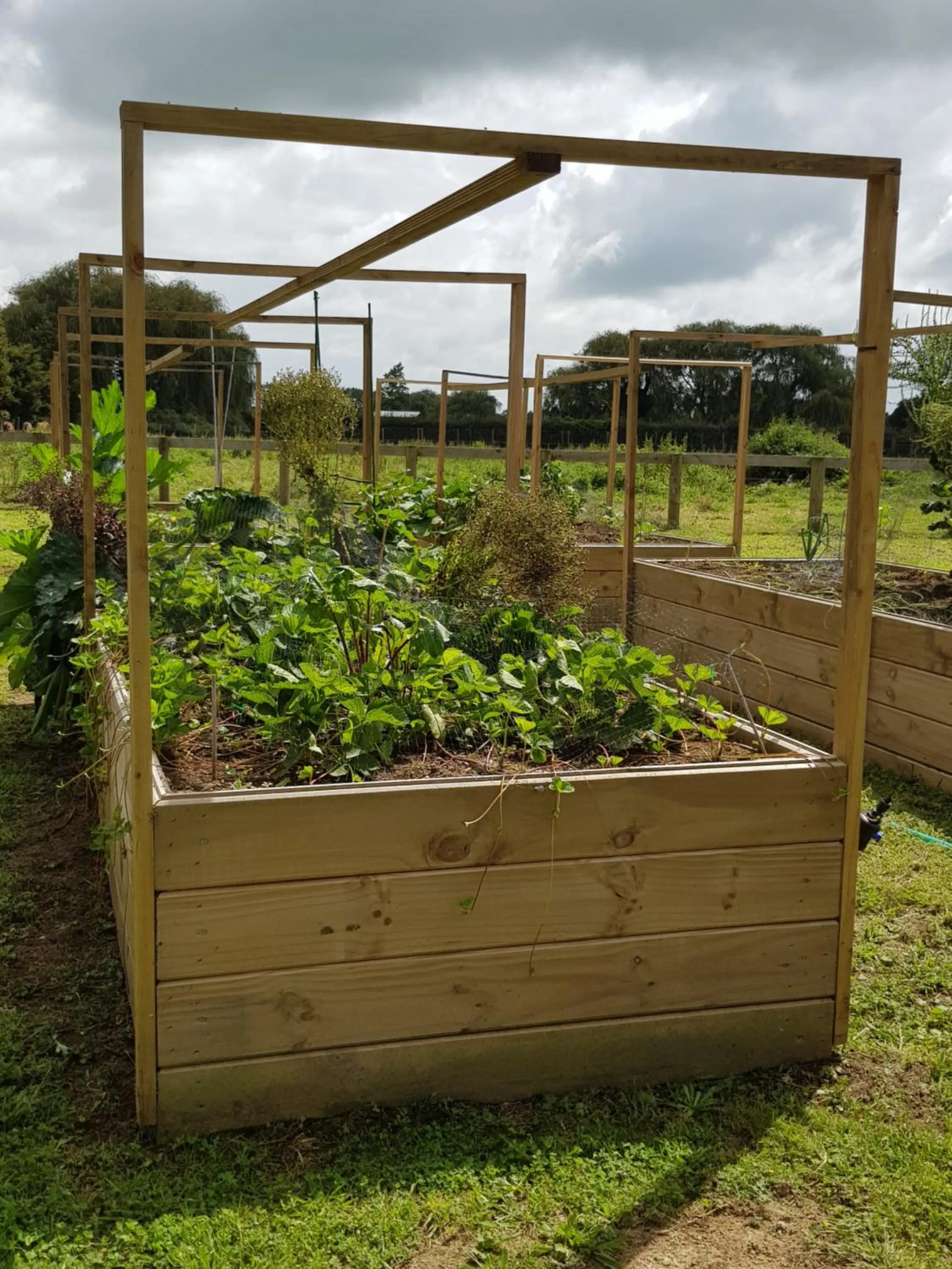 Garden in Bruntwoodlodge