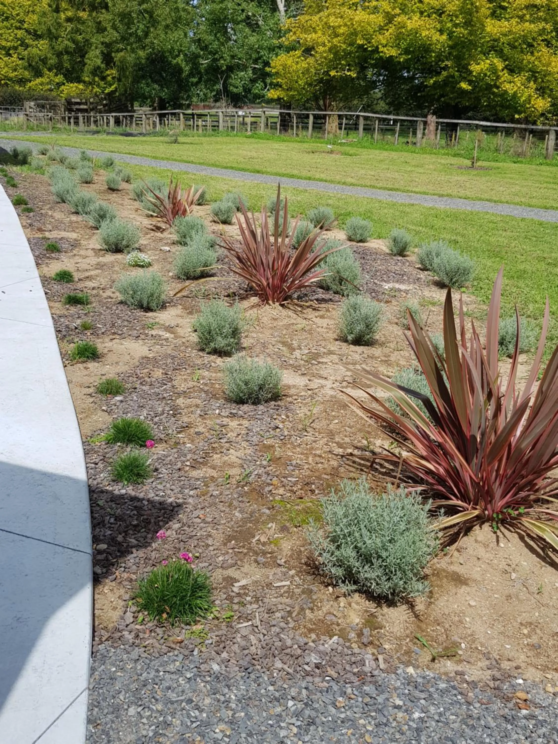 Garden in Bruntwoodlodge
