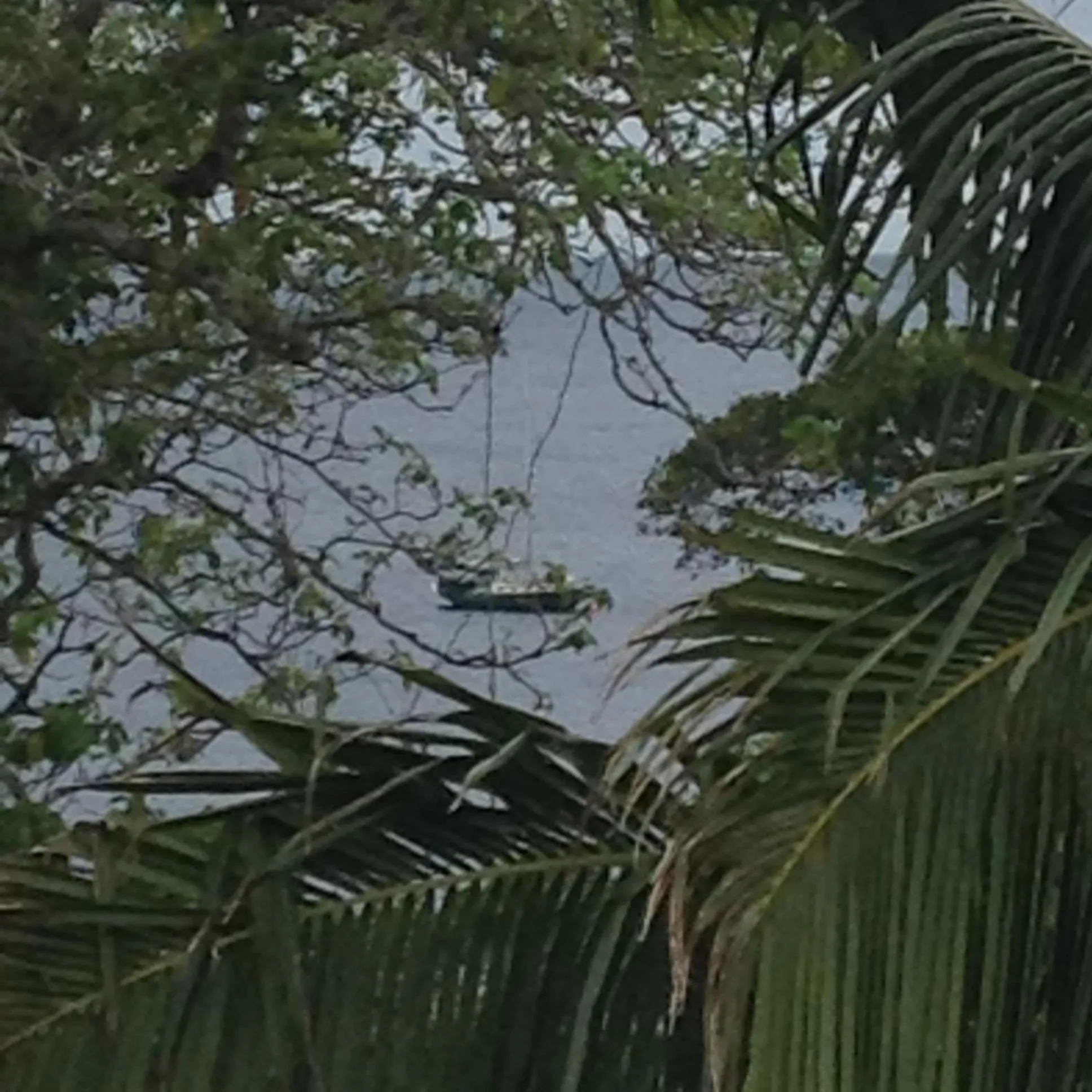 Natural landscape in Heleni Jessop's Fatahega