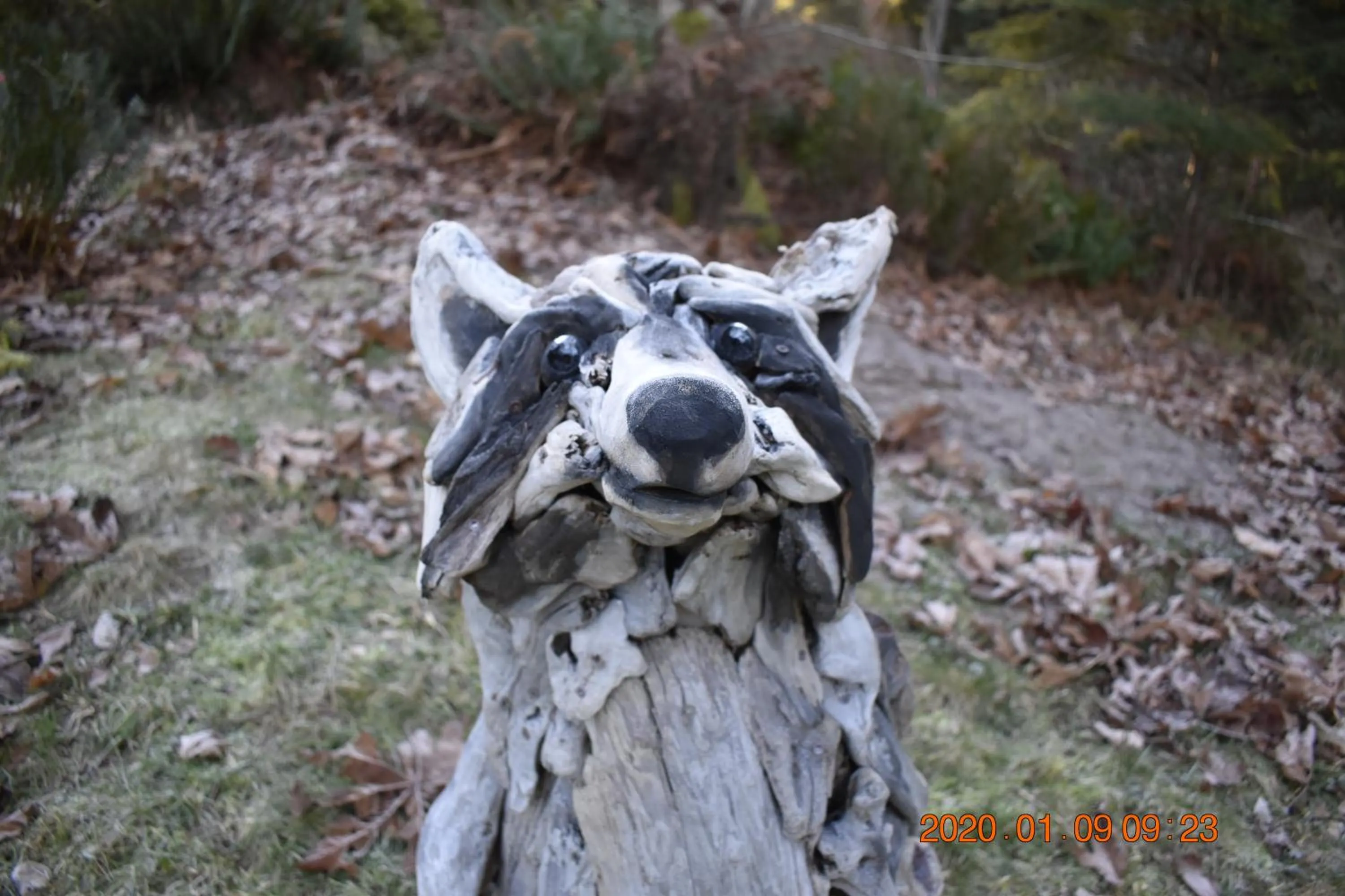 Animals in High Point Resort