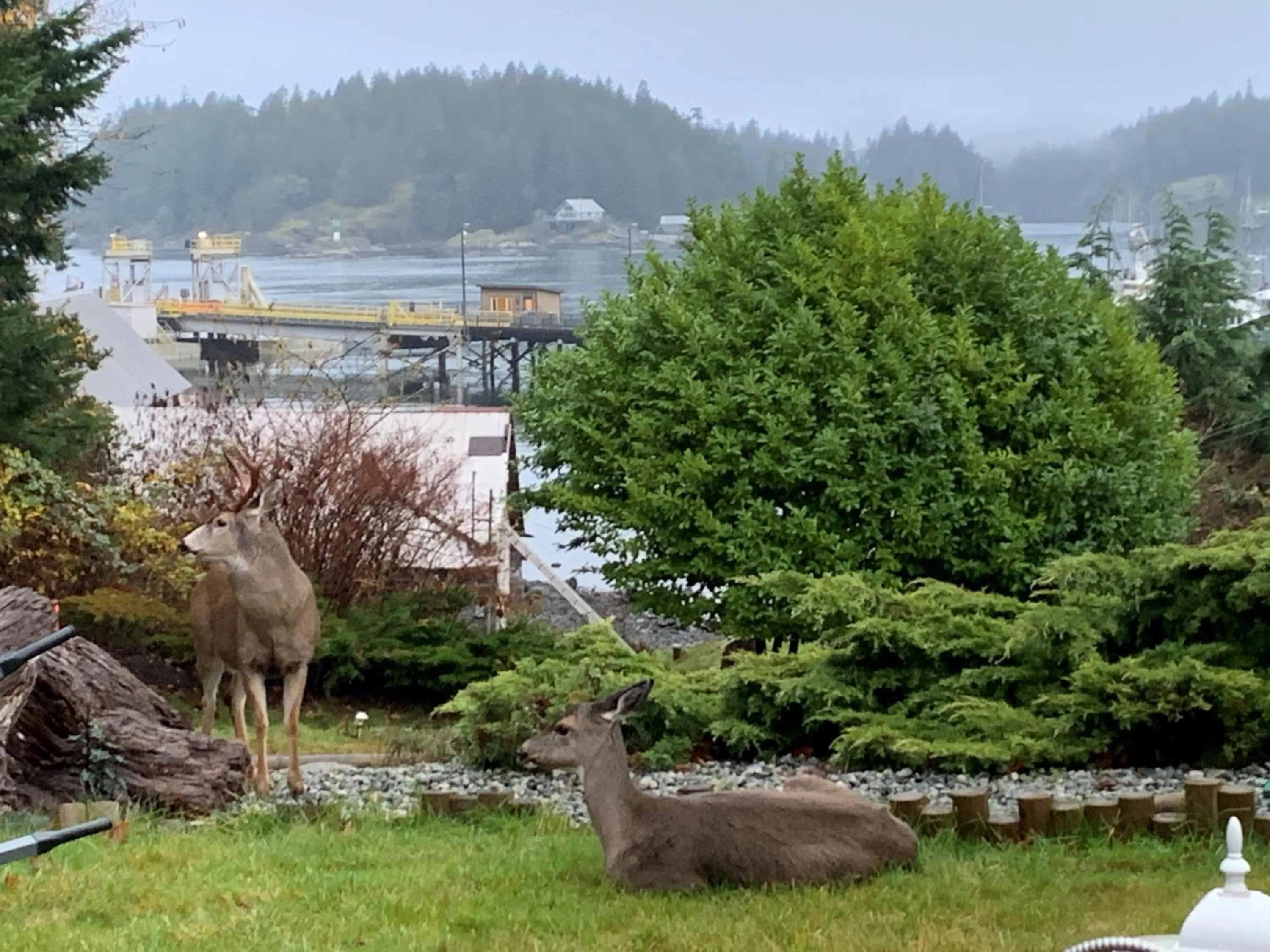 Balcony/Terrace in High Point Resort