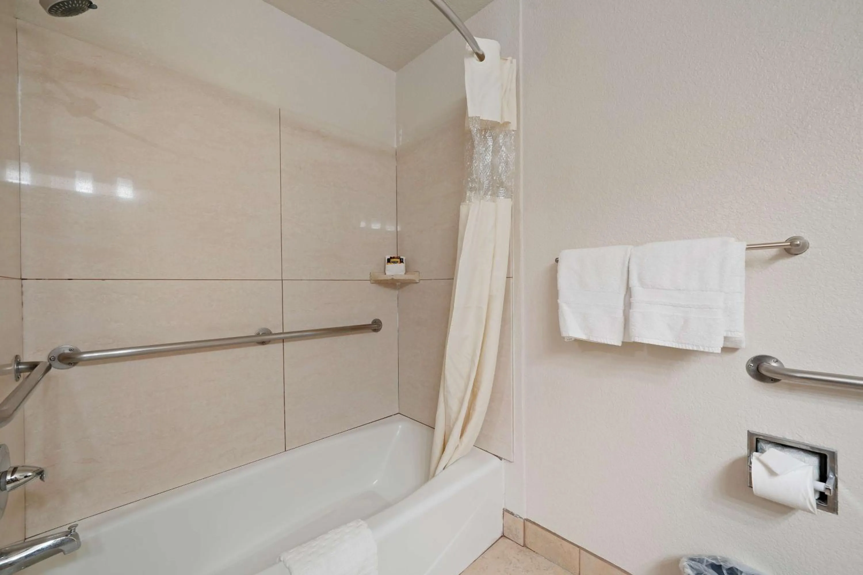 Bathroom in Best Western Plus Executive Inn & Suites