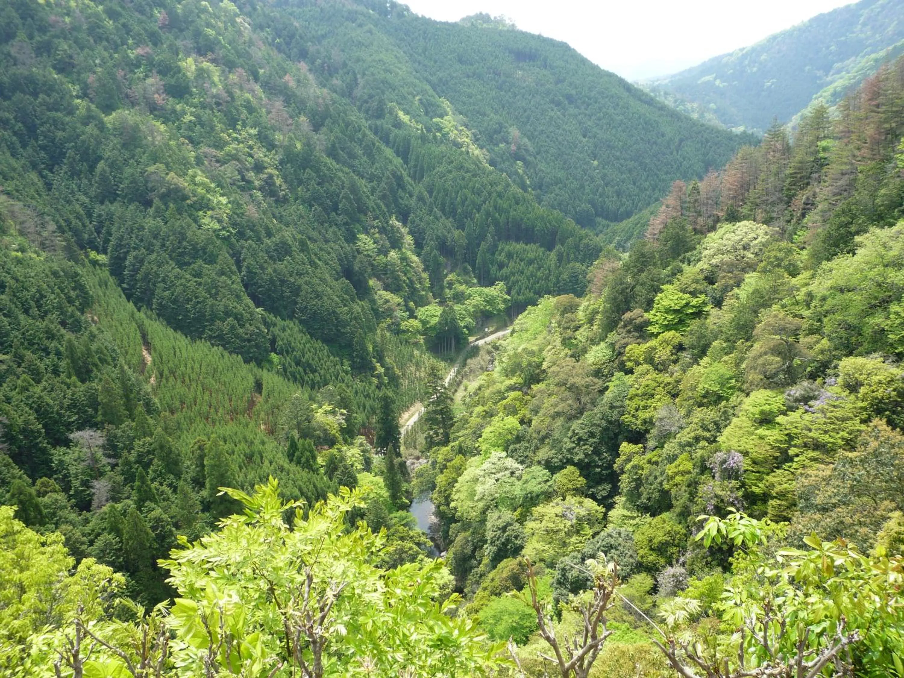 Natural landscape in Takao Kanko Hotel
