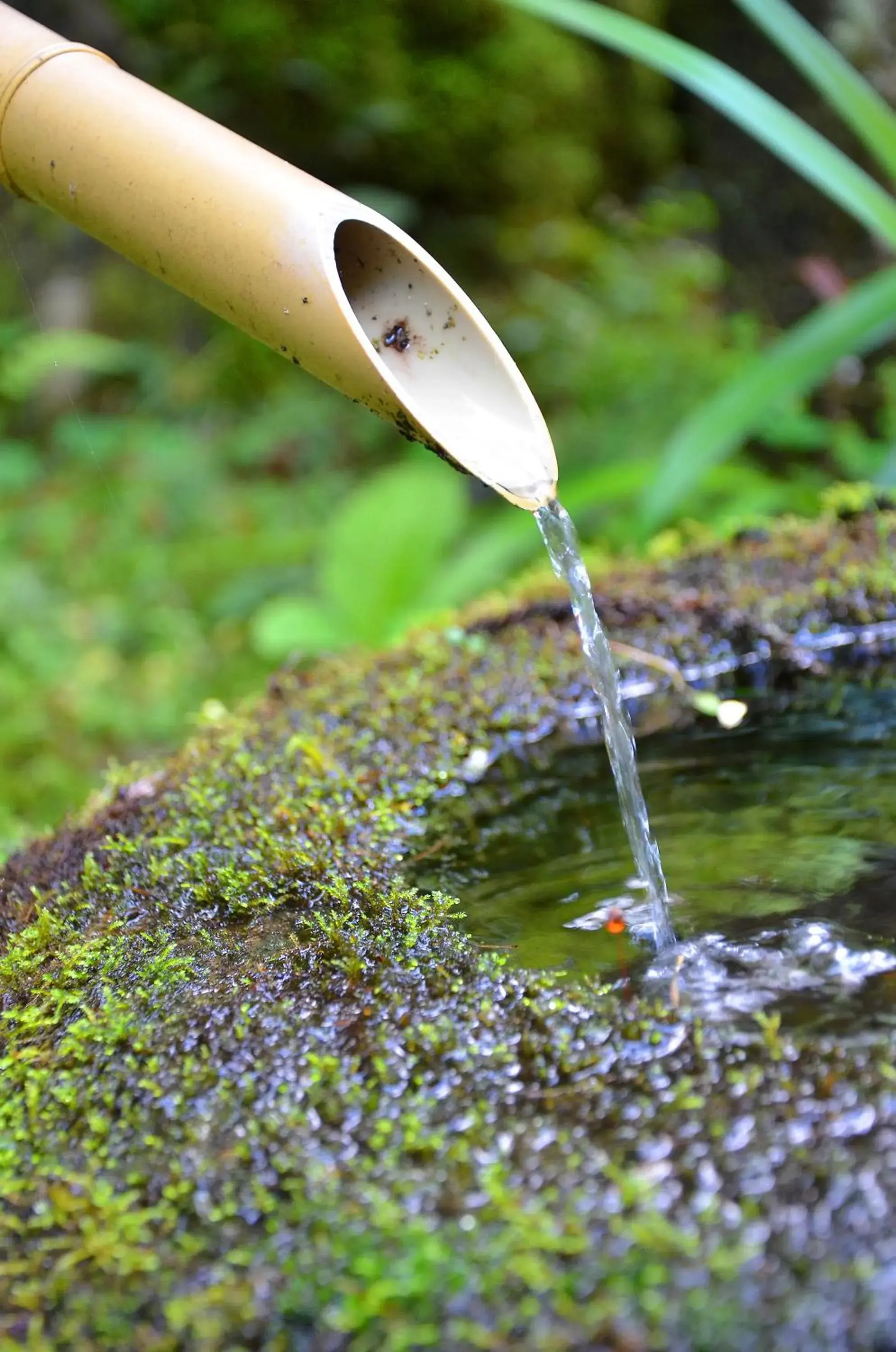 Decorative detail in Takao Kanko Hotel Decorative detail in Takao Kanko Hotel