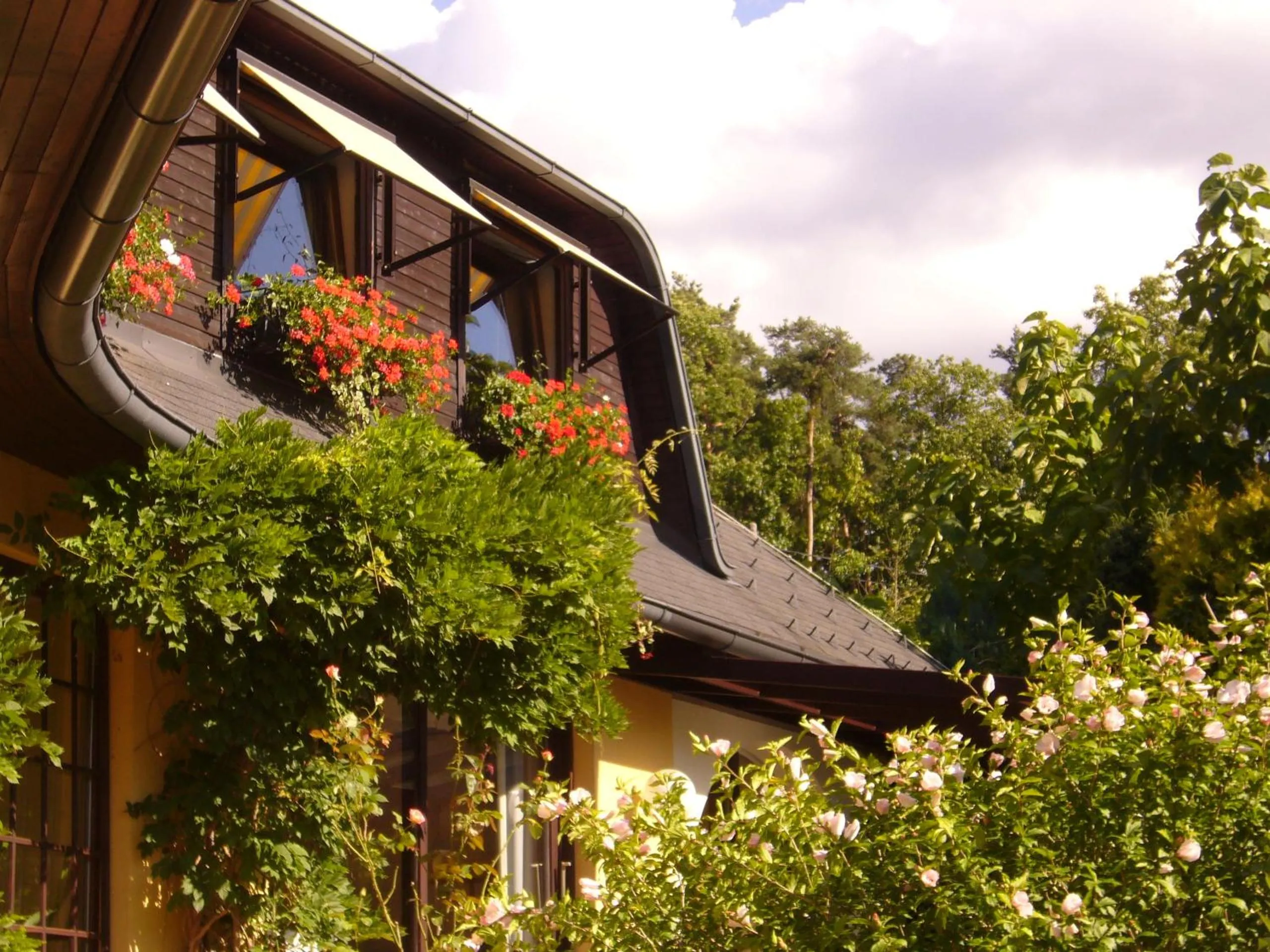Property building in Hotel Restaurant - Häuserl im Wald Graz