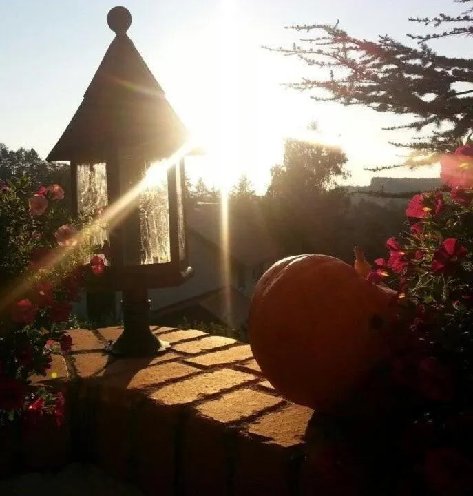 Restaurant/places to eat in Hotel Restaurant - Häuserl im Wald Graz