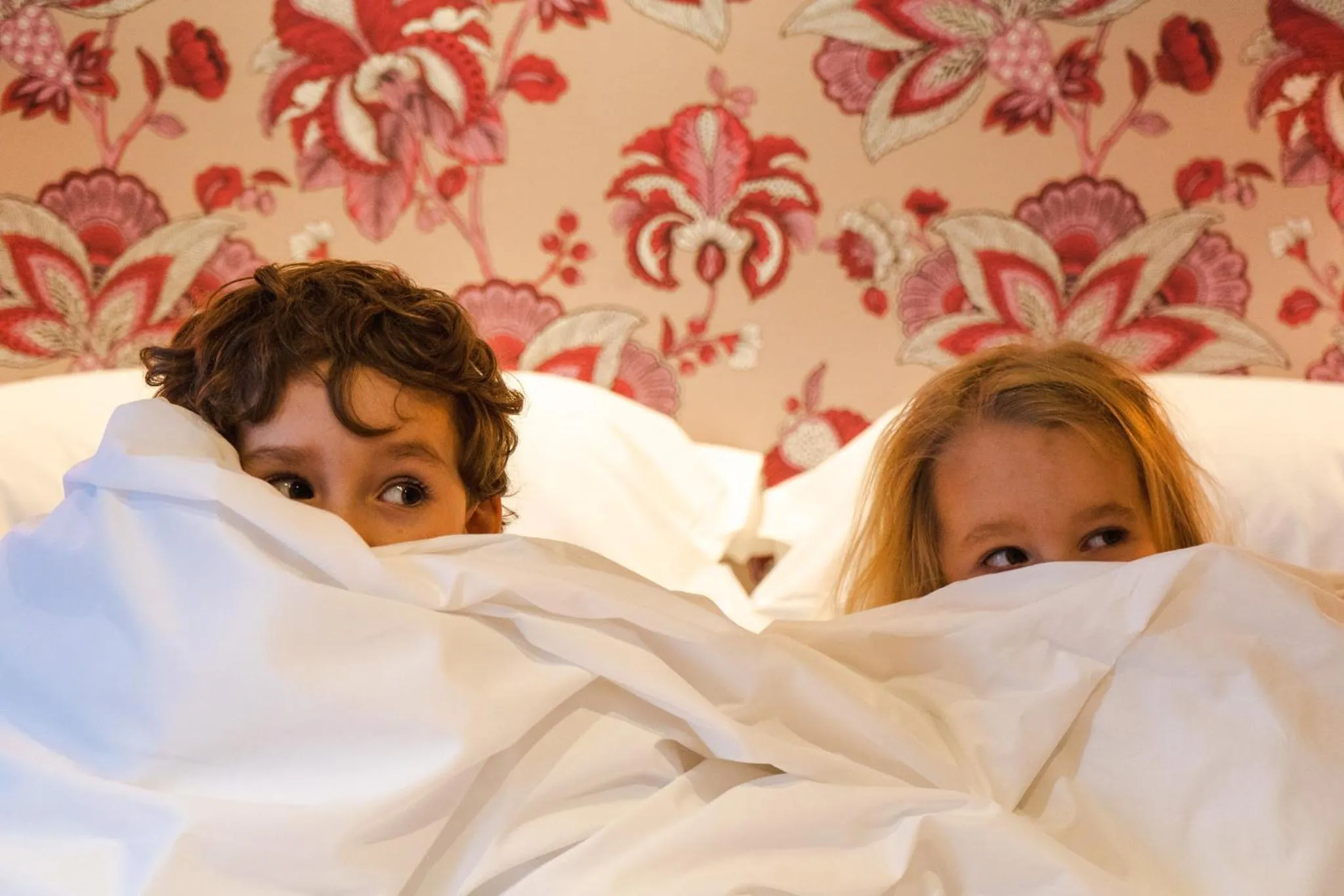 Family, Bed in The Bird, Bath