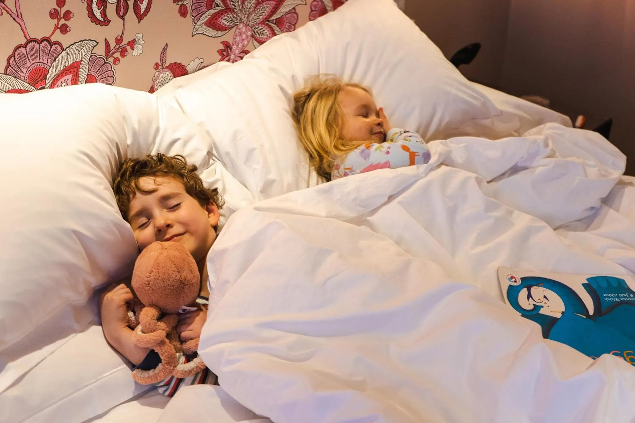Family, Bed in The Bird, Bath