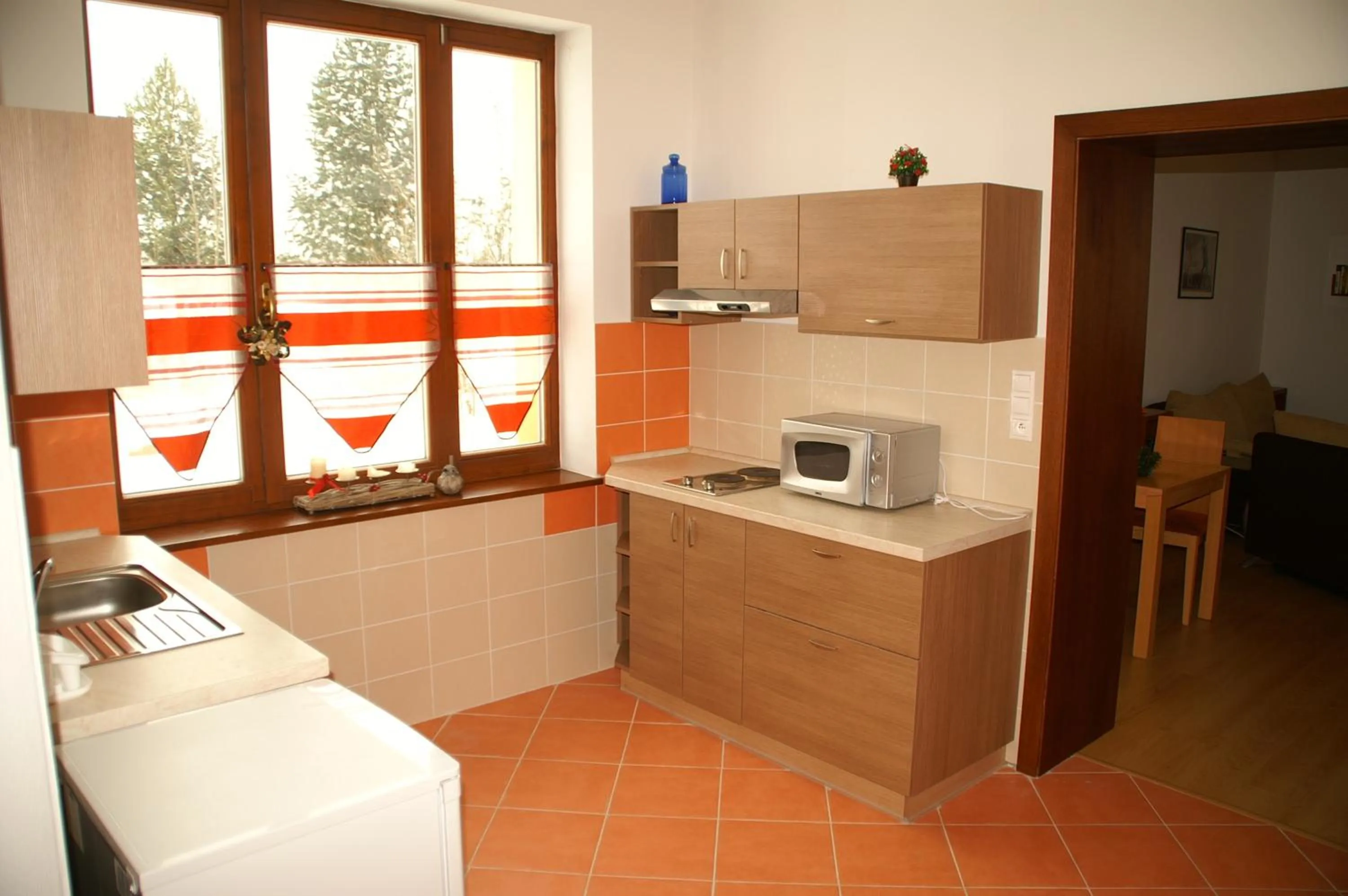 Kitchen or kitchenette in Hotel Avalanche