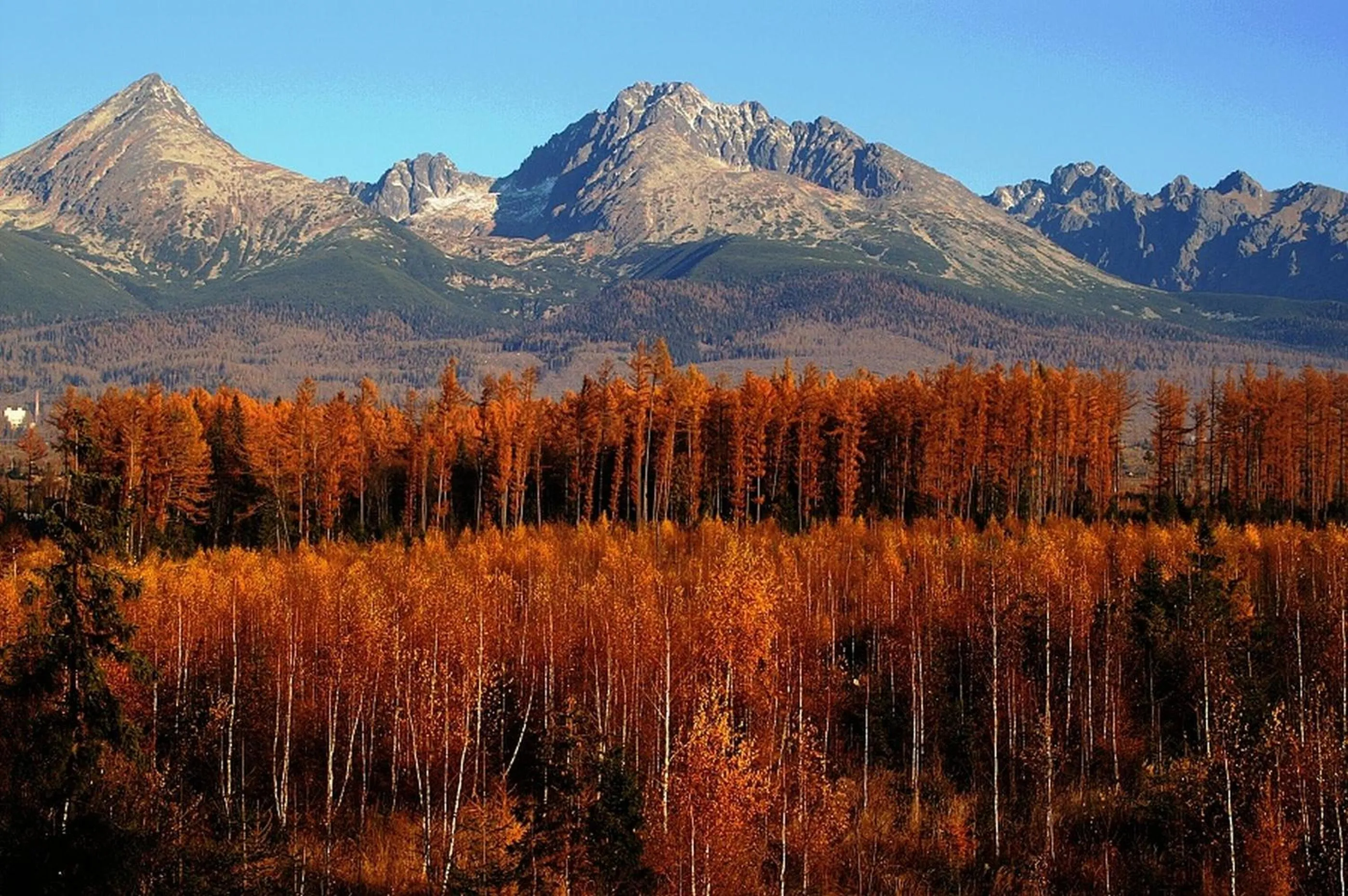 Mountain view in Hotel Avalanche
