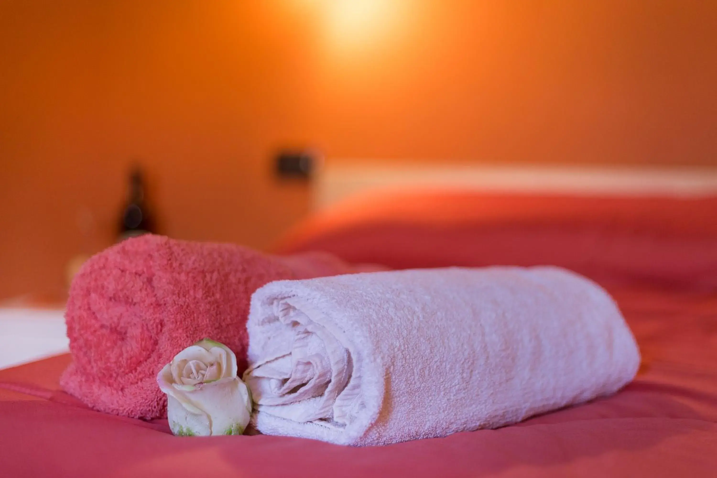 Double or Twin Room with Bathroom in B&B Il Nido Double or Twin Room with Bathroom in B&B Il Nido