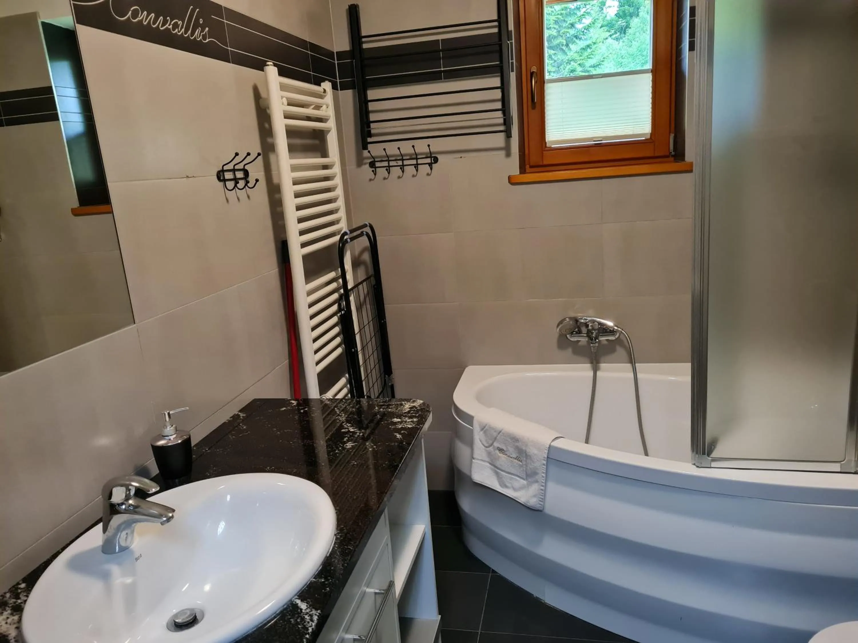 Bathroom in Apartamenty Convallis