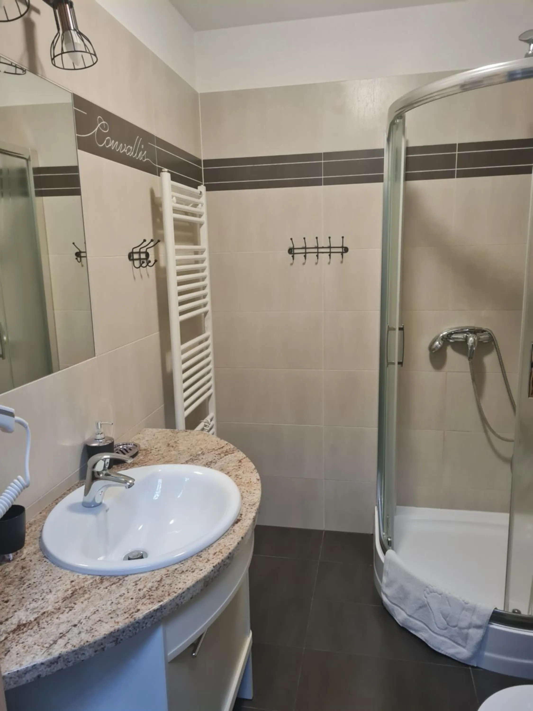 Bathroom in Apartamenty Convallis
