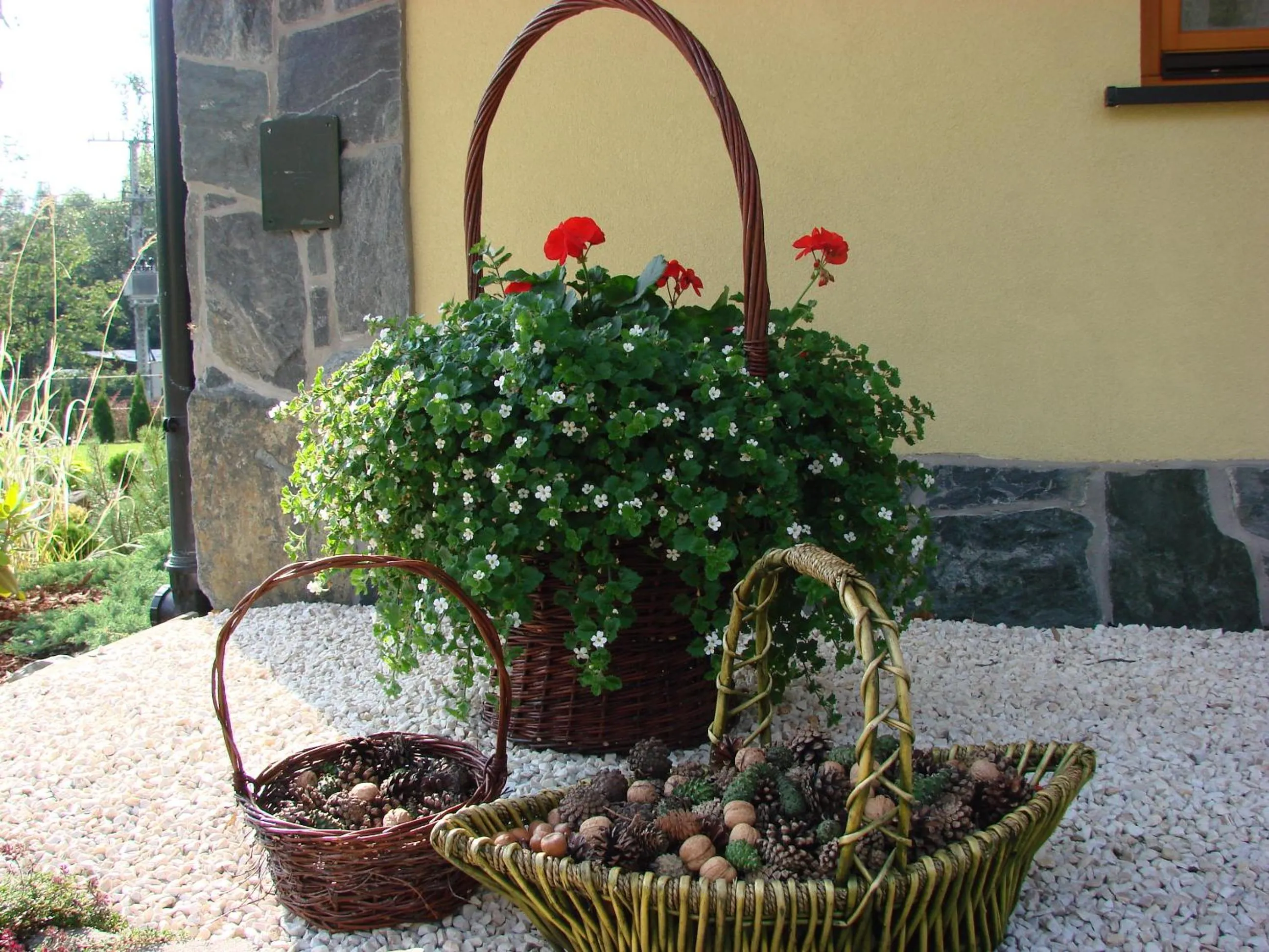 Day in Apartamenty Convallis