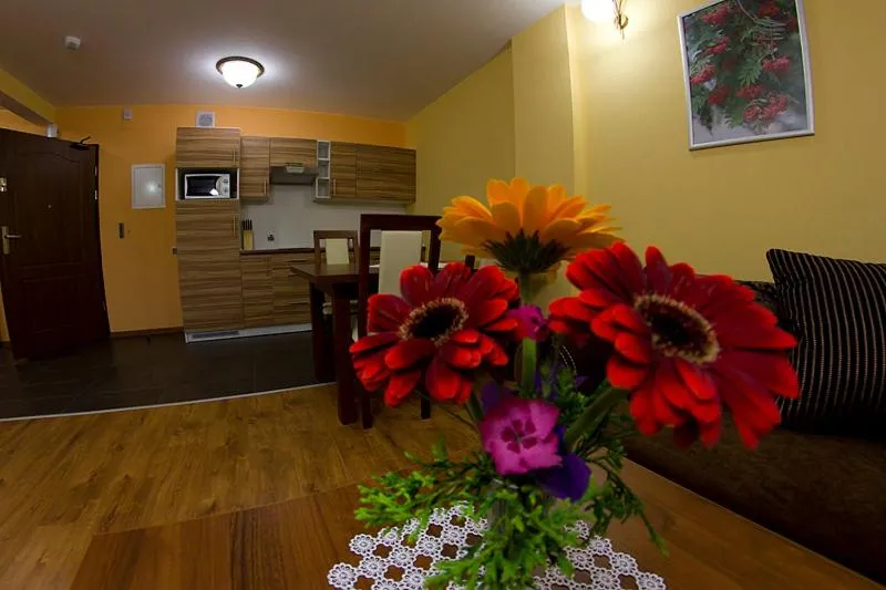 Photo of the whole room in Apartamenty Convallis