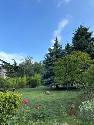 Alazani Valley Hotel