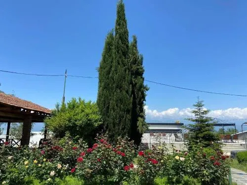 Alazani Valley Hotel