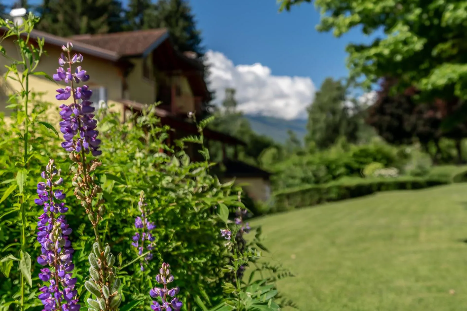 Property building in Hotel Bella di Bosco