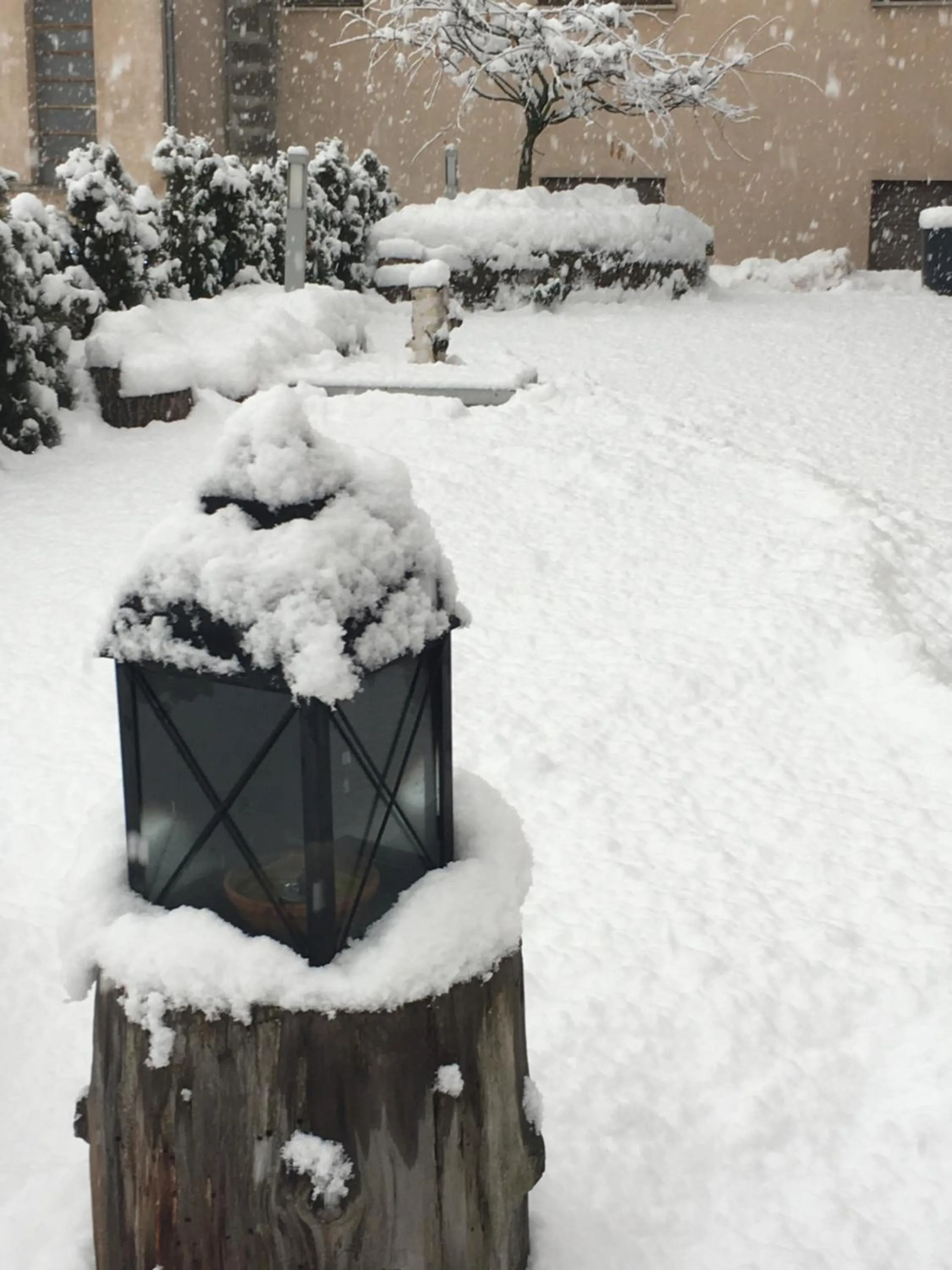 Winter in Hotel Bella di Bosco