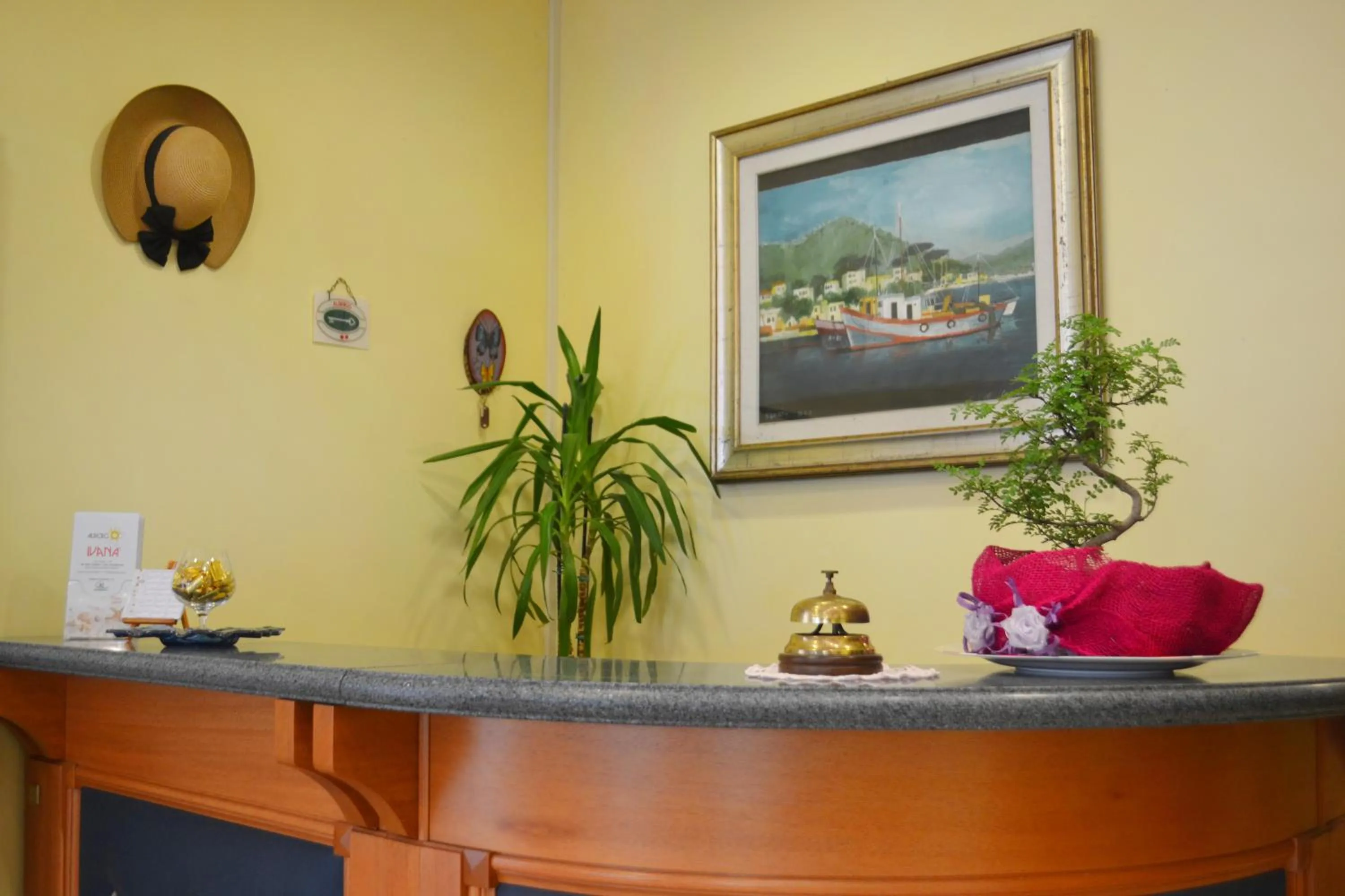 Lobby or reception in Hotel Ivana