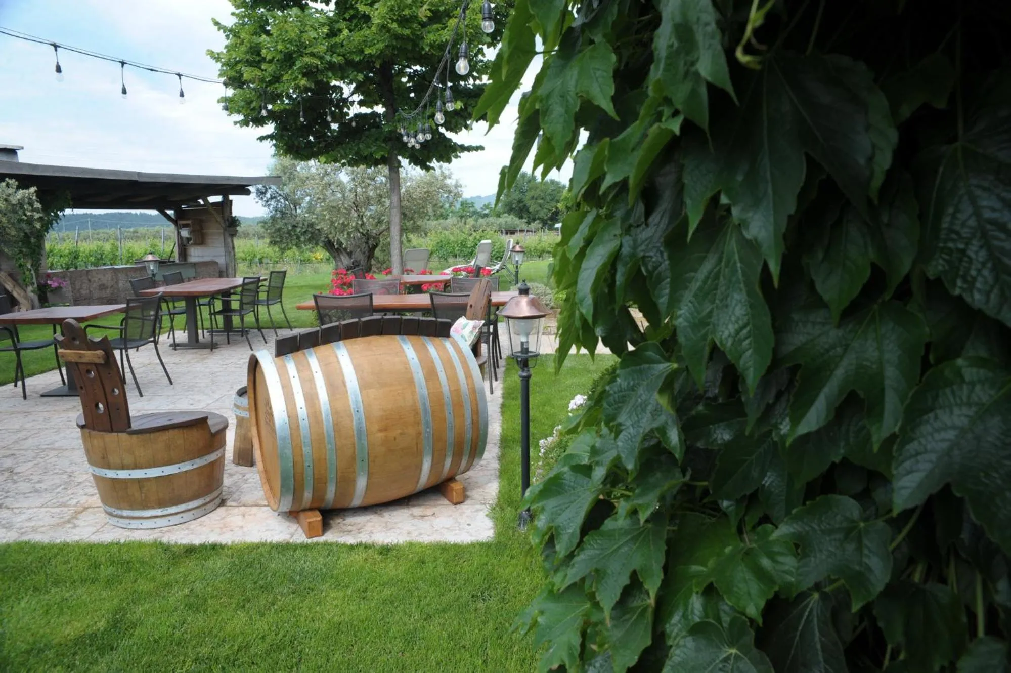 Agriturismo Sol De Montalto