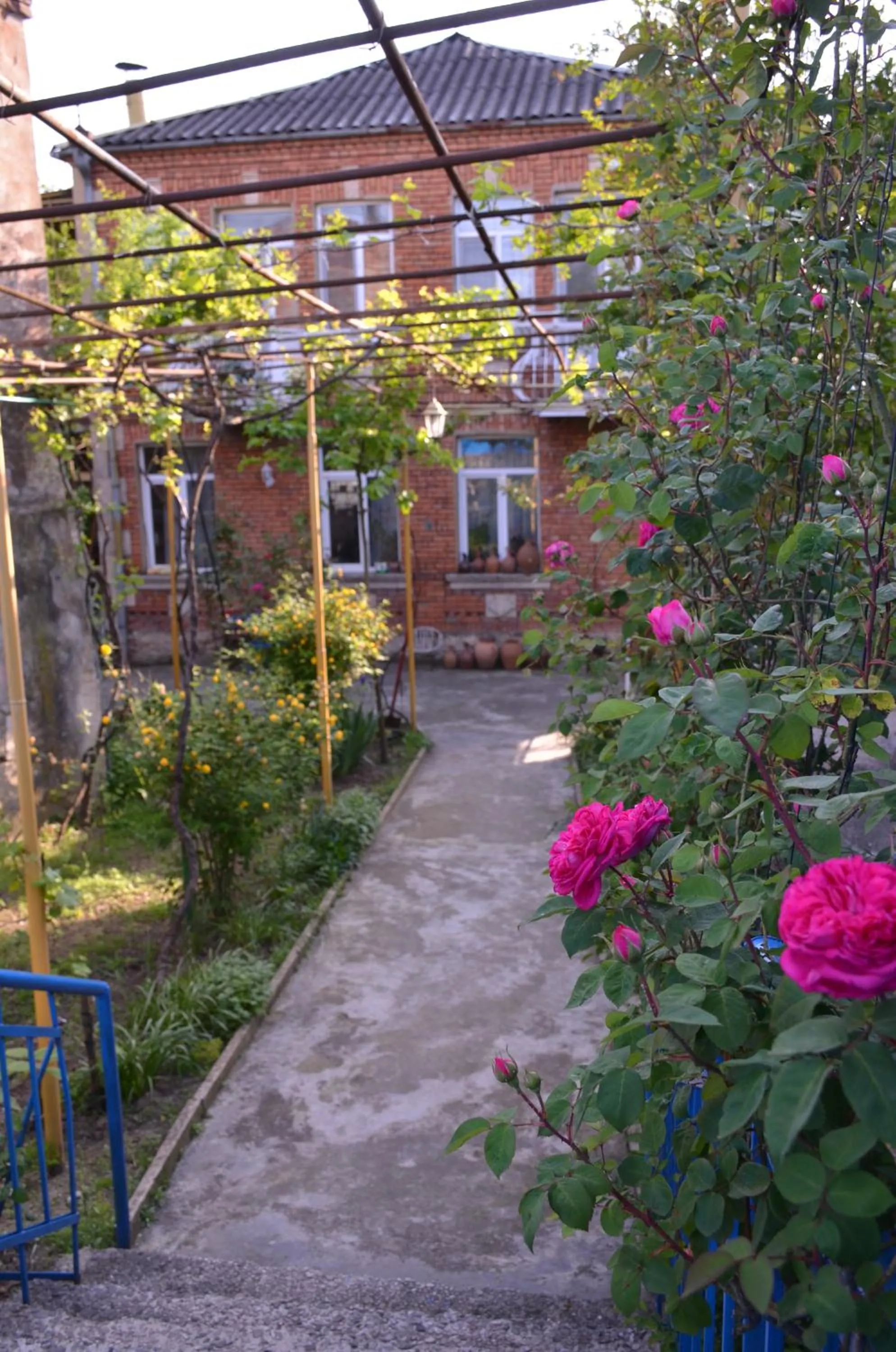 Patio in Friends House