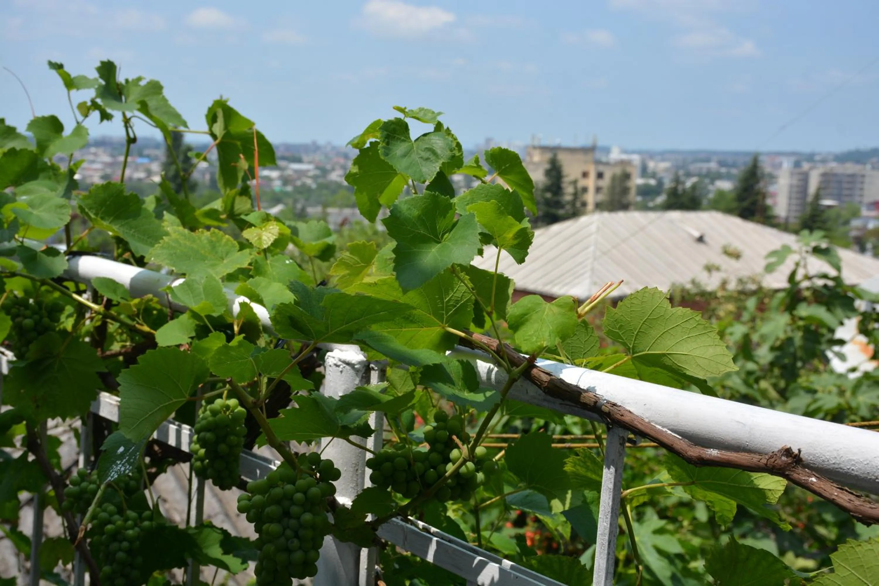 Balcony/Terrace in Friends House