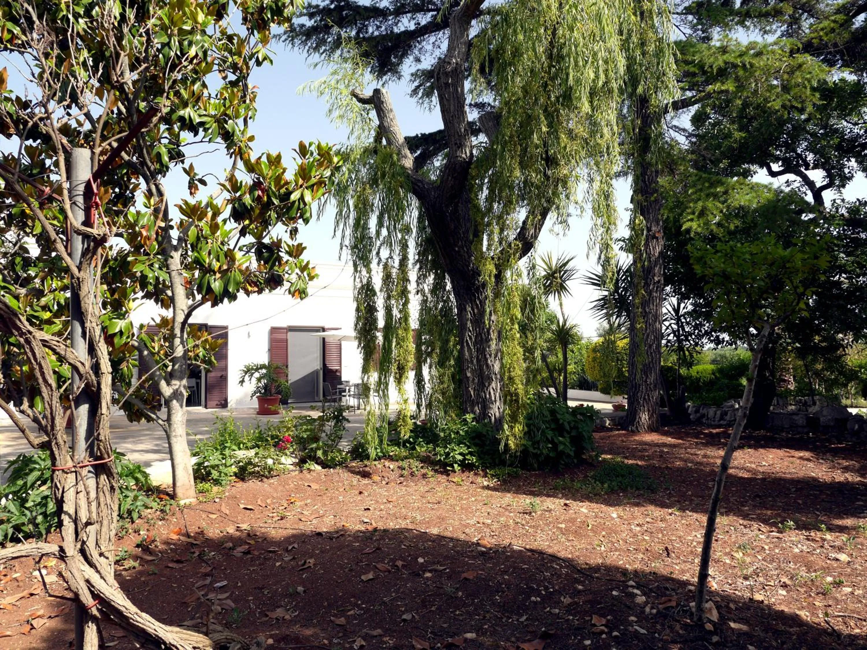 Garden in B&B Bell'aria