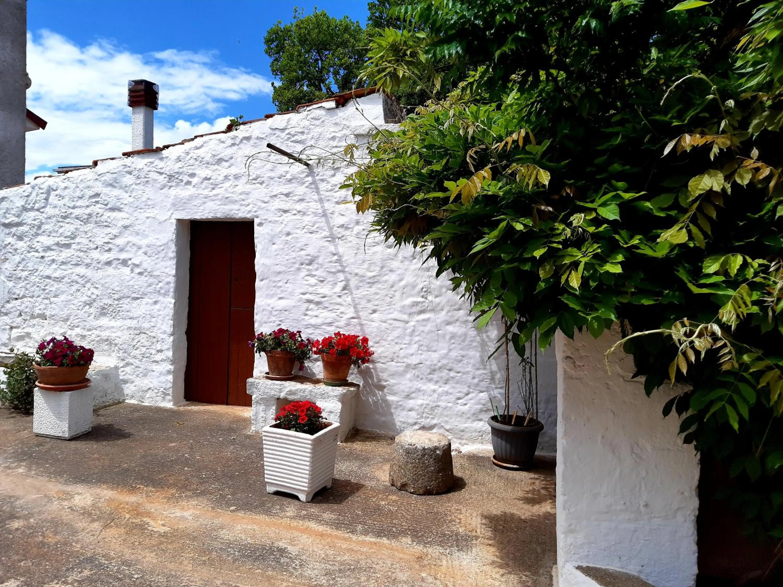 Garden in B&B Bell'aria