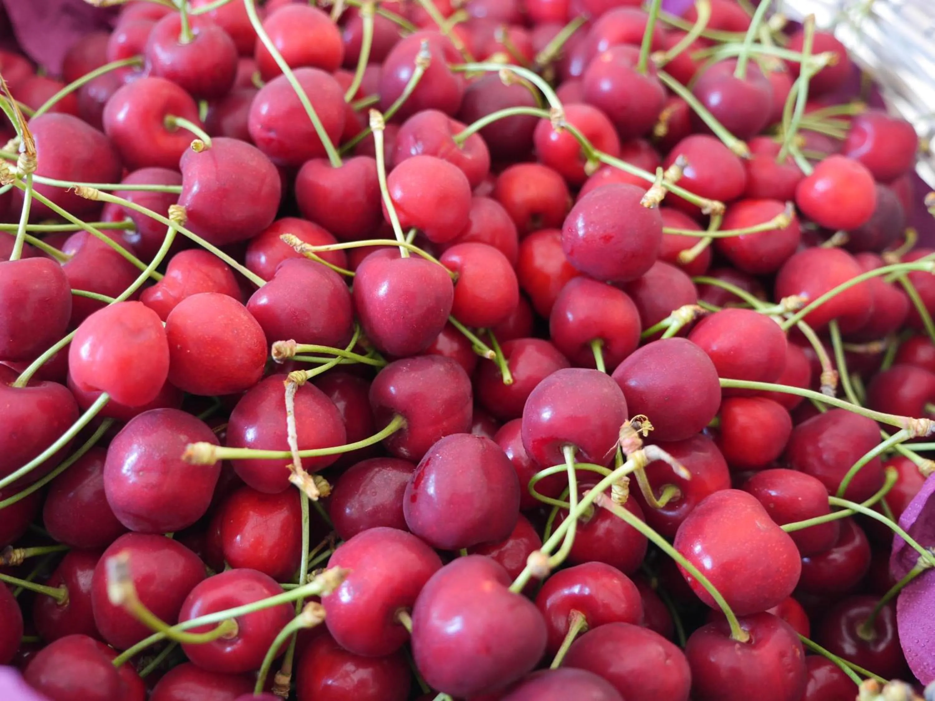 Food in B&B Bell'aria