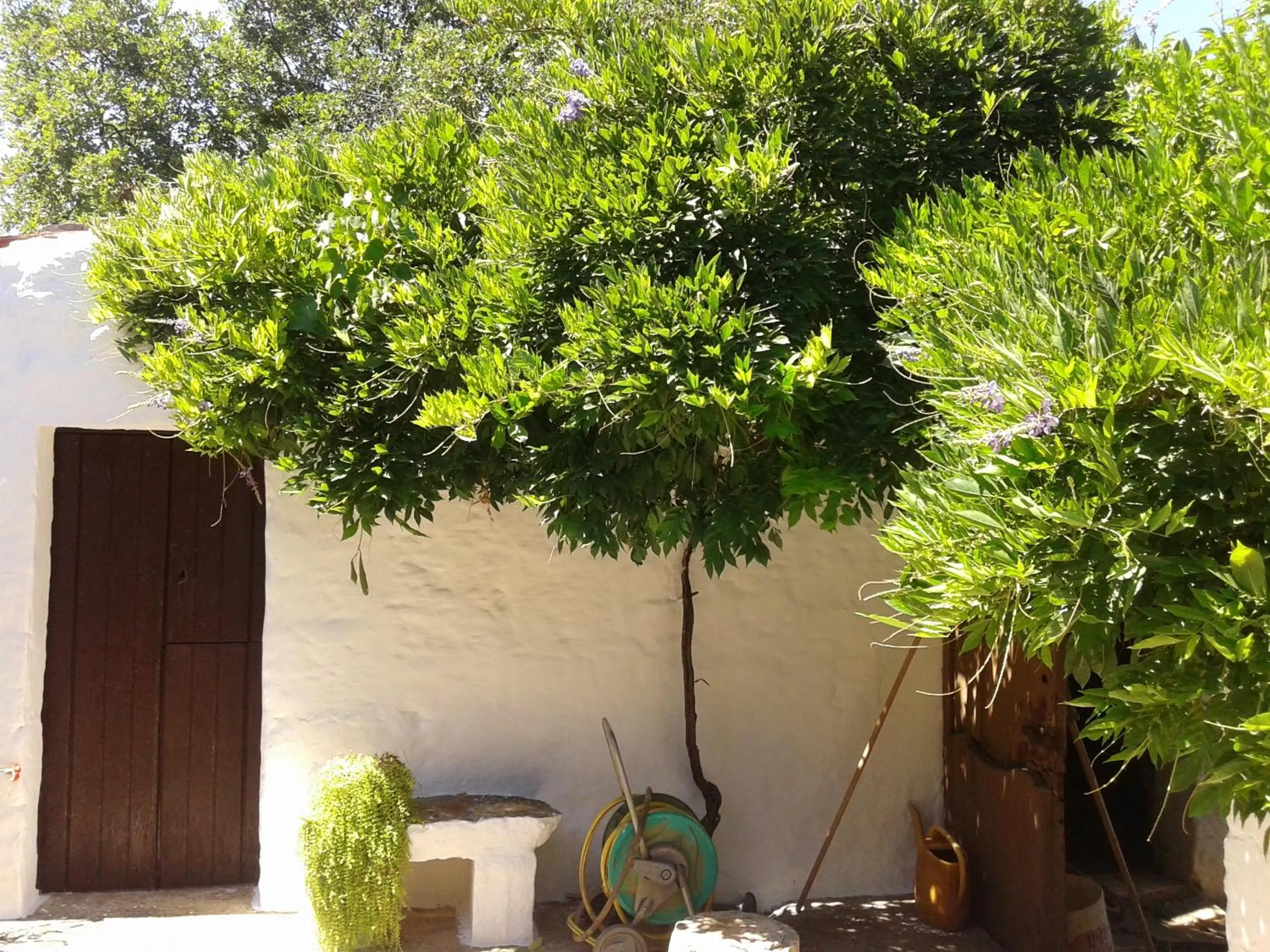 On site in B&B Bell'aria