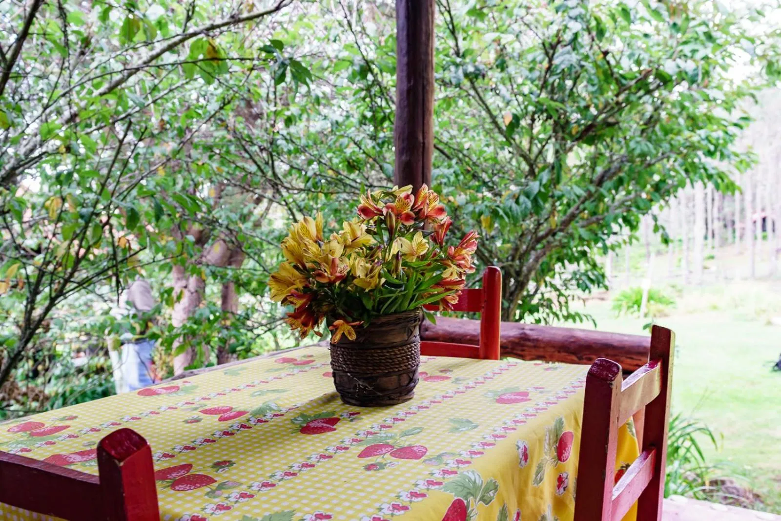 Villa Pajon Eco Lodge