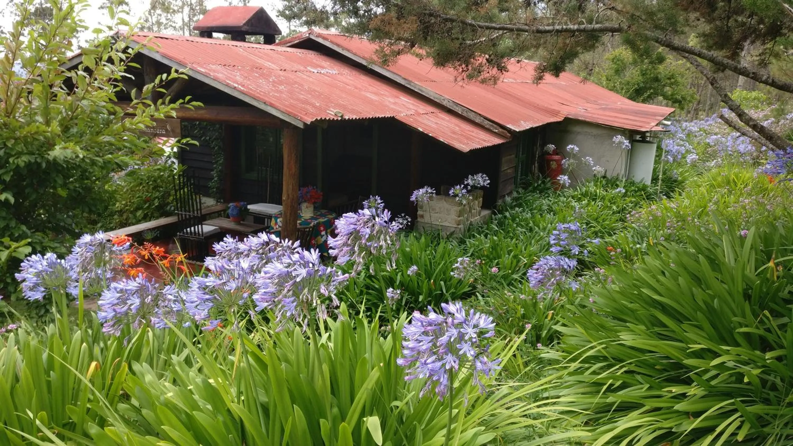 Villa Pajon Eco Lodge