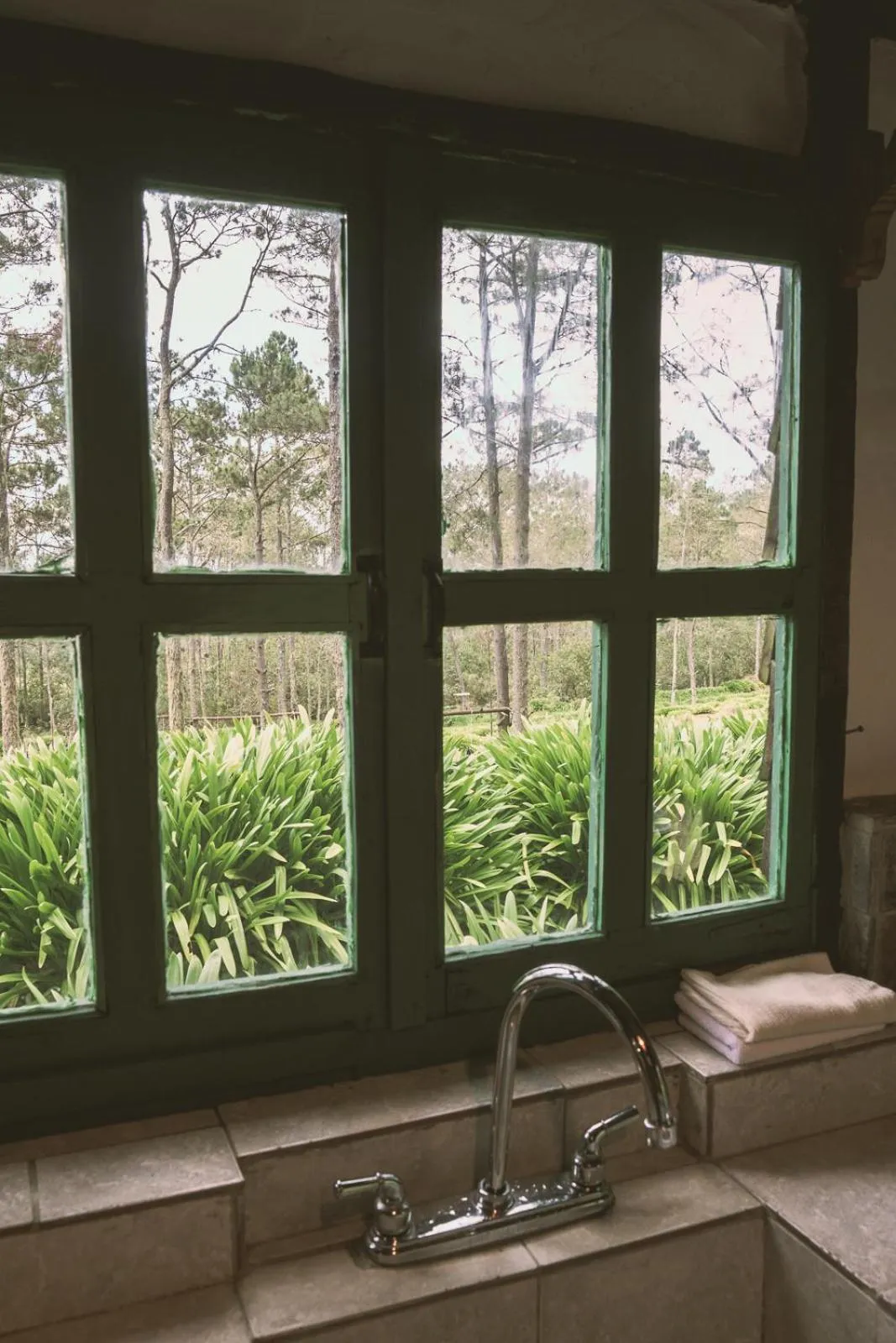 Villa Pajon Eco Lodge