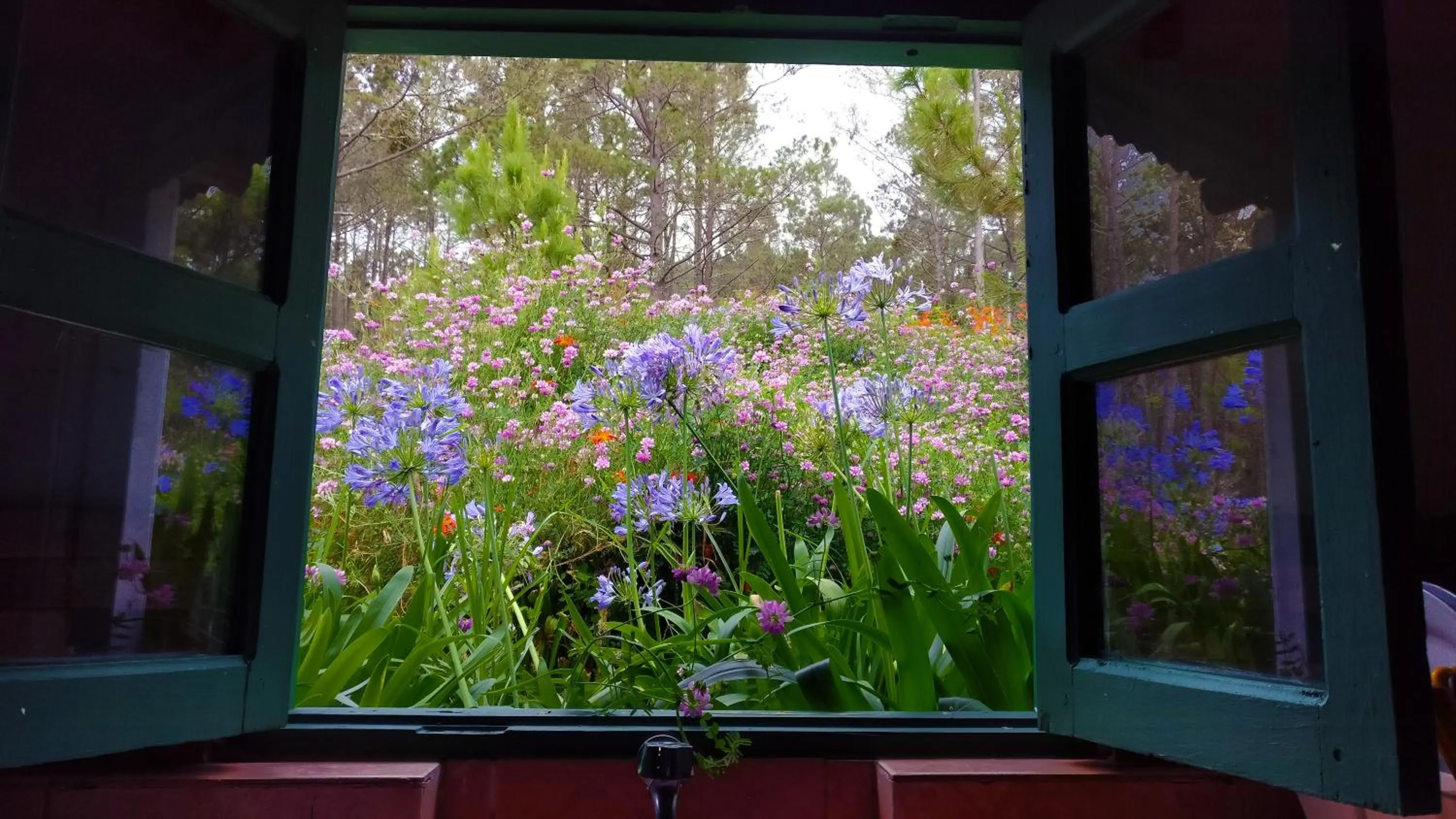 View (from property/room) in Villa Pajon Eco Lodge
