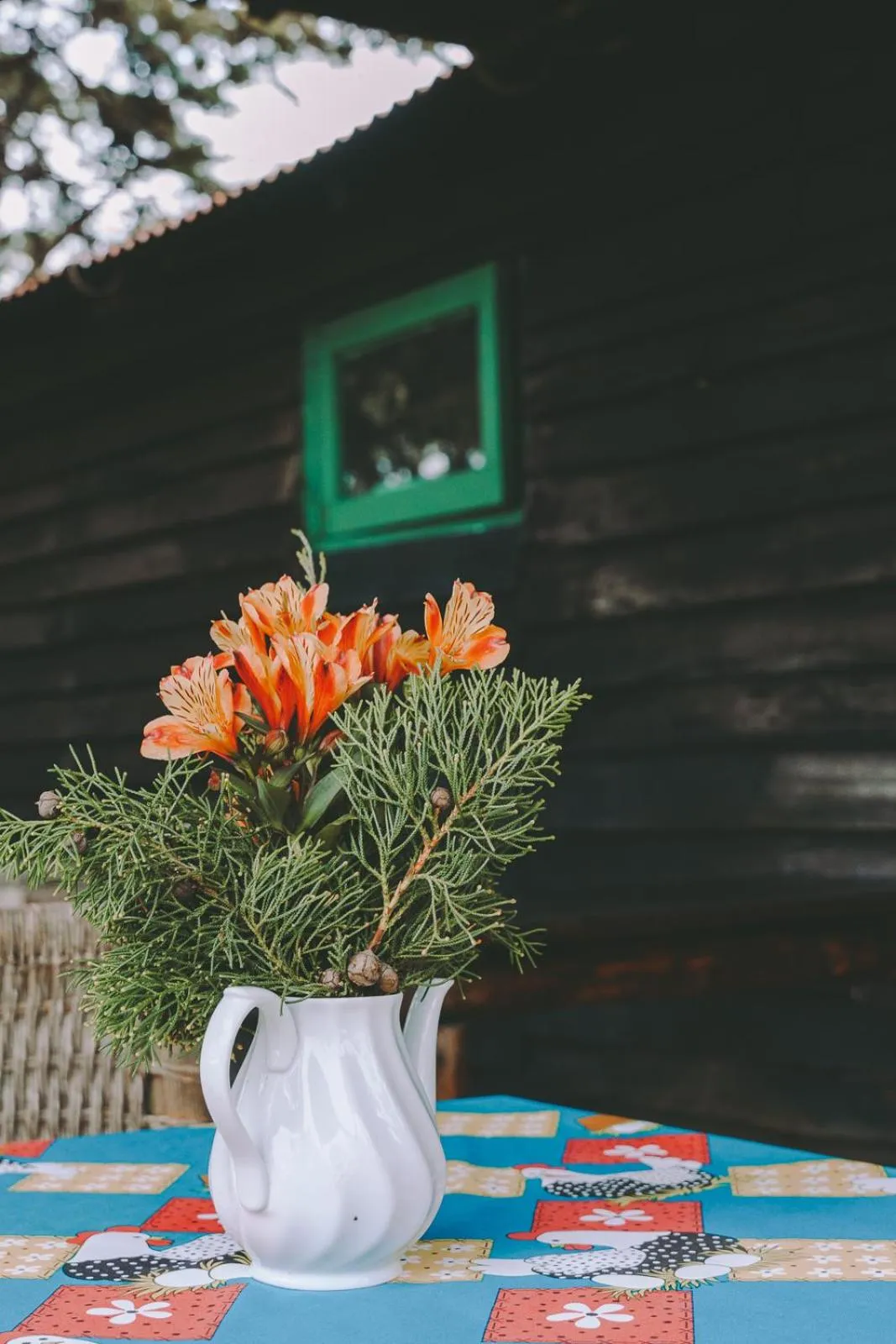 Villa Pajon Eco Lodge