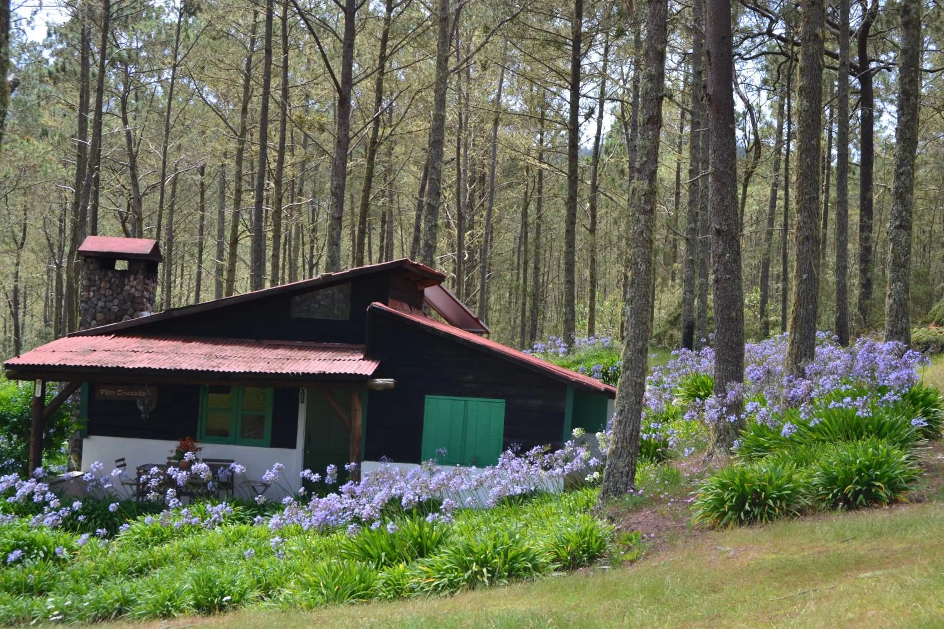 Villa Pajon Eco Lodge