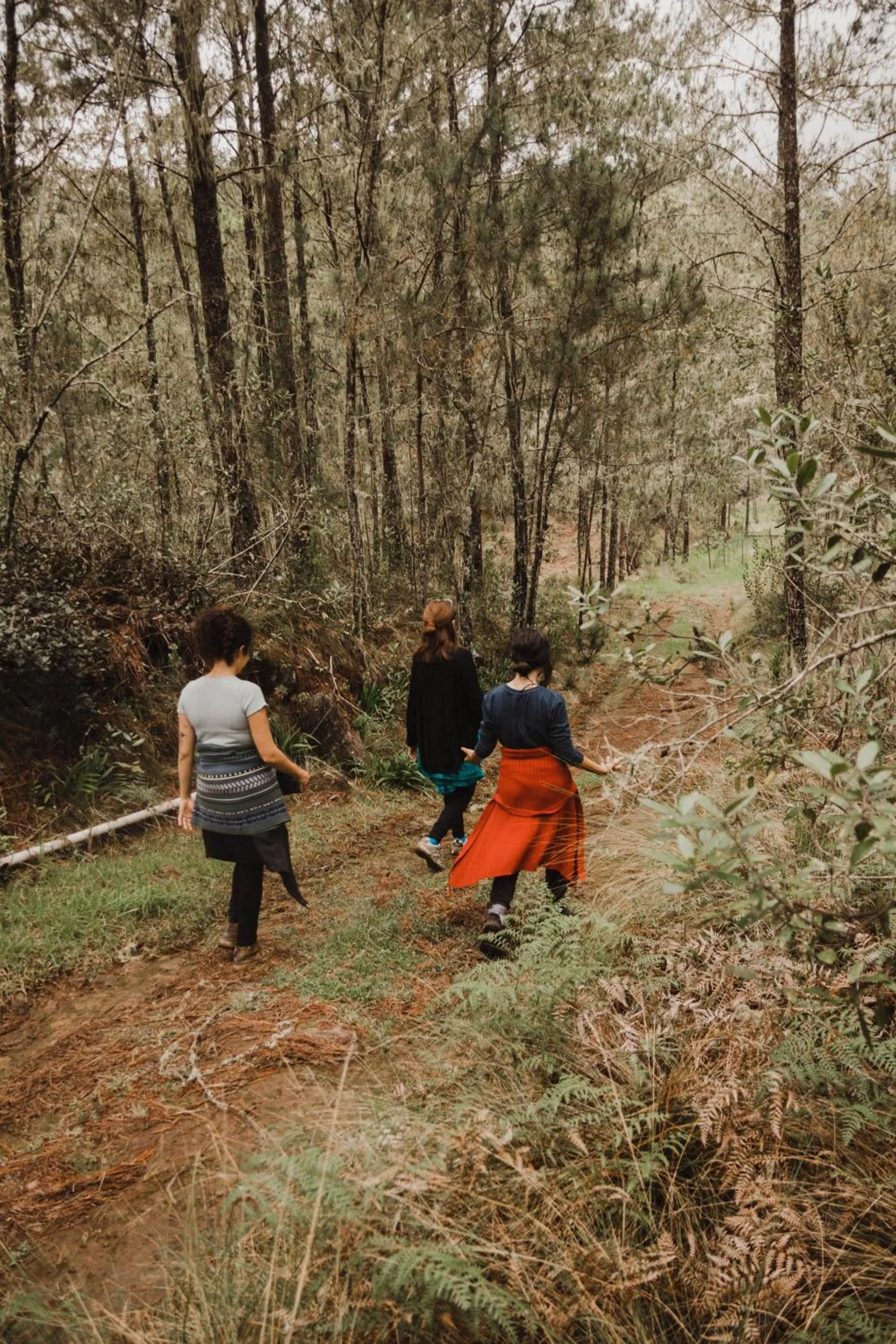 Villa Pajon Eco Lodge