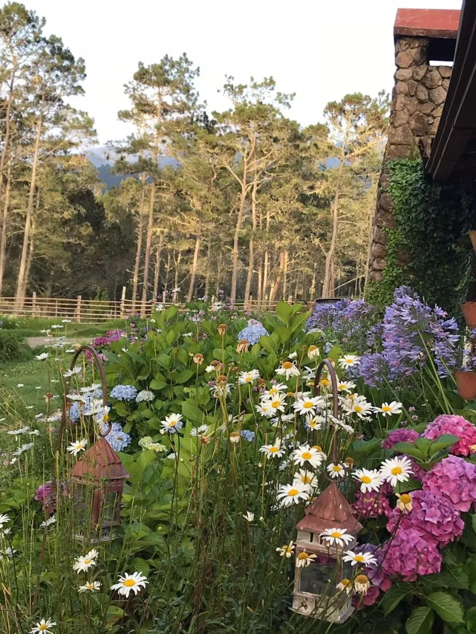 Villa Pajon Eco Lodge