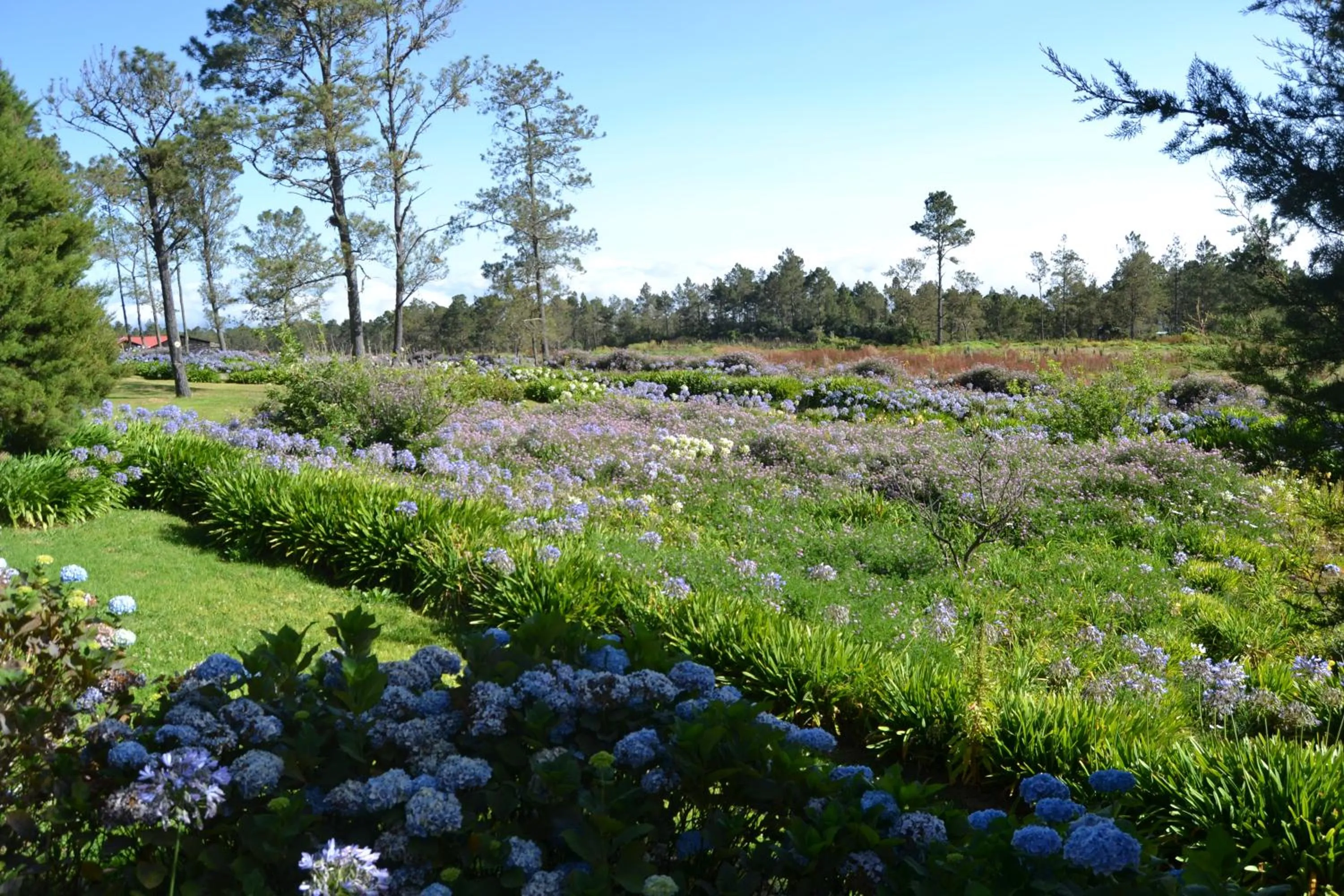 Natural landscape in Villa Pajon Eco Lodge